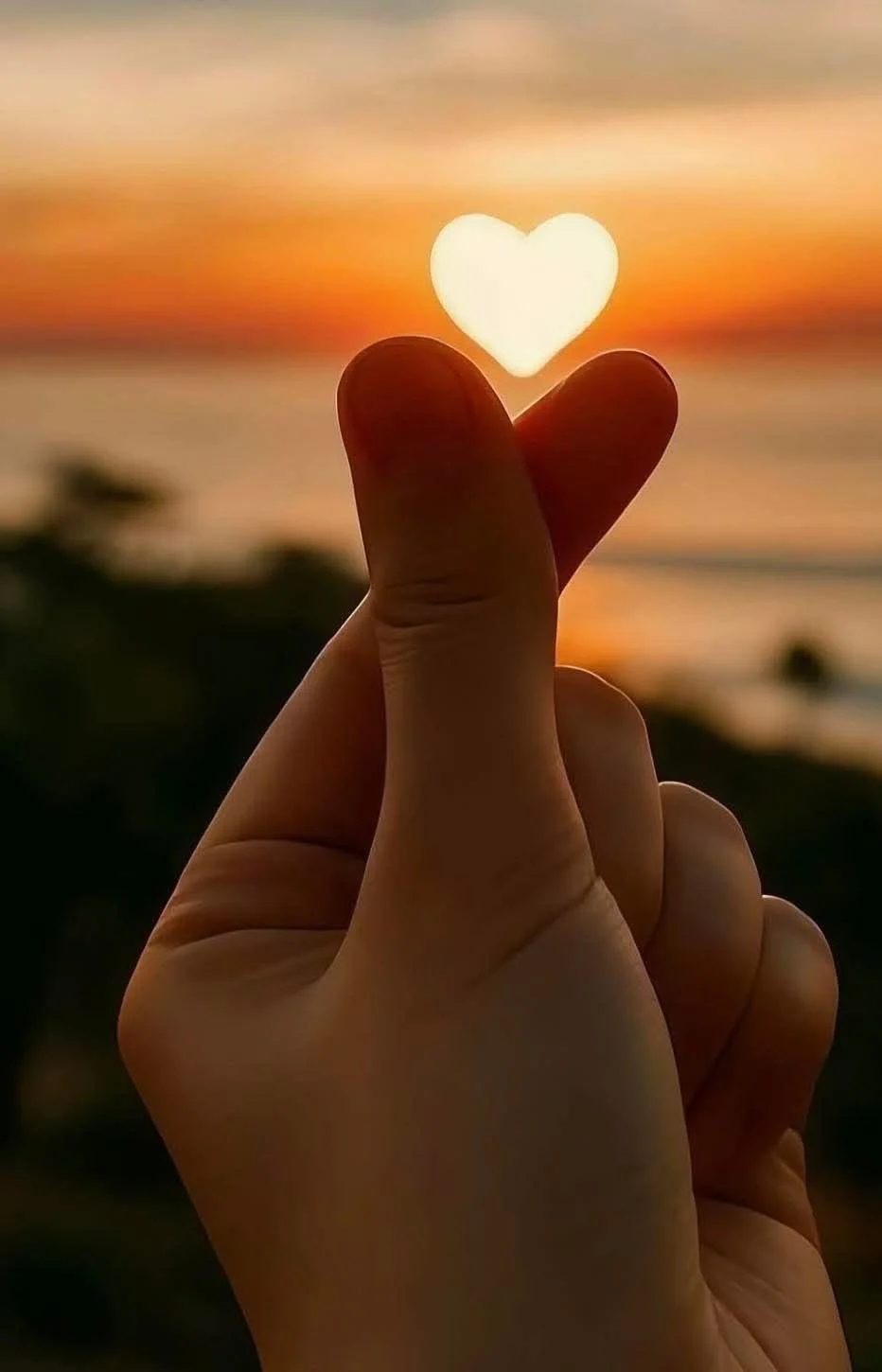  · ✦ · Dear Sister · ✦ ·                        