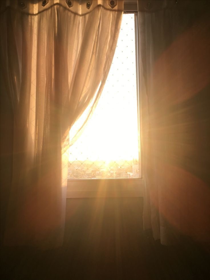 · ✦ · Dear Sister · ✦·