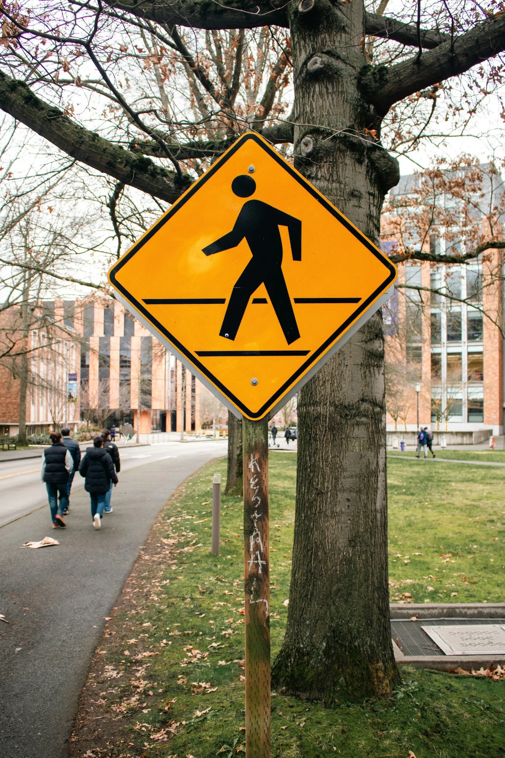 Yellow pedestrian crossing sign with a stylized walking person walking across a crosswalk, mounted on a wooden pole beside a tree in an urban area.