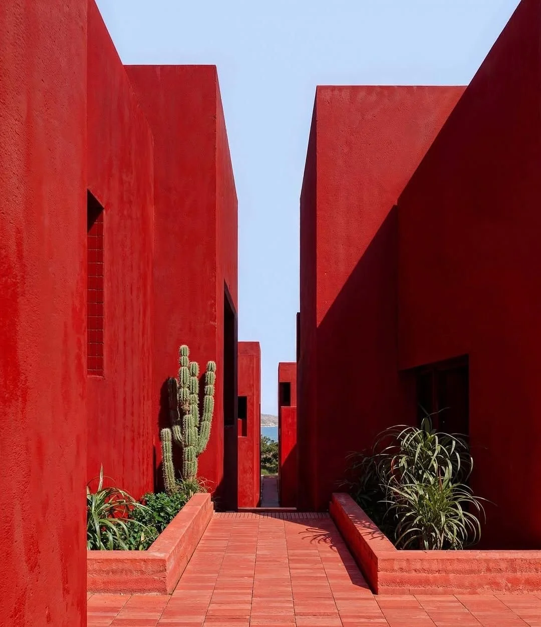 Red modern buildings with cactus and plants in planters, blue sky, view of distant mountains or water.
