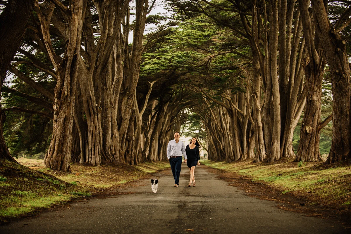 A couple walking their dog along a dirt path lined with tall, twisted trees creating a natural archway.