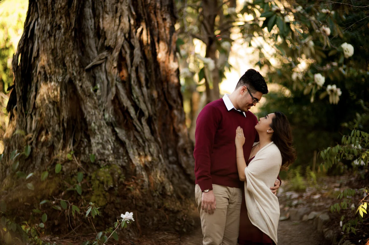 A couple stands close together under a large tree, smiling and looking at each other in a forest setting.