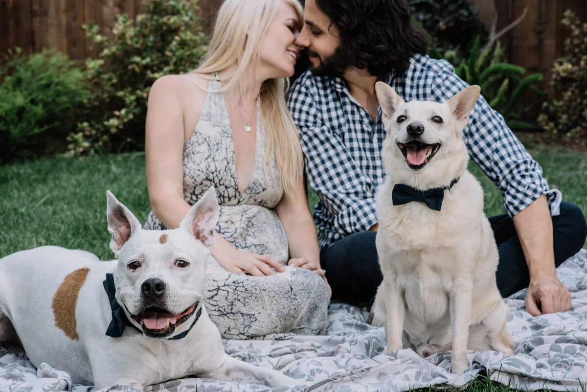 A couple sitting on a blanket with two dogs in a backyard, smiling and leaning nose-to-nose, with one dog sitting and the other lying down, all looking happy.