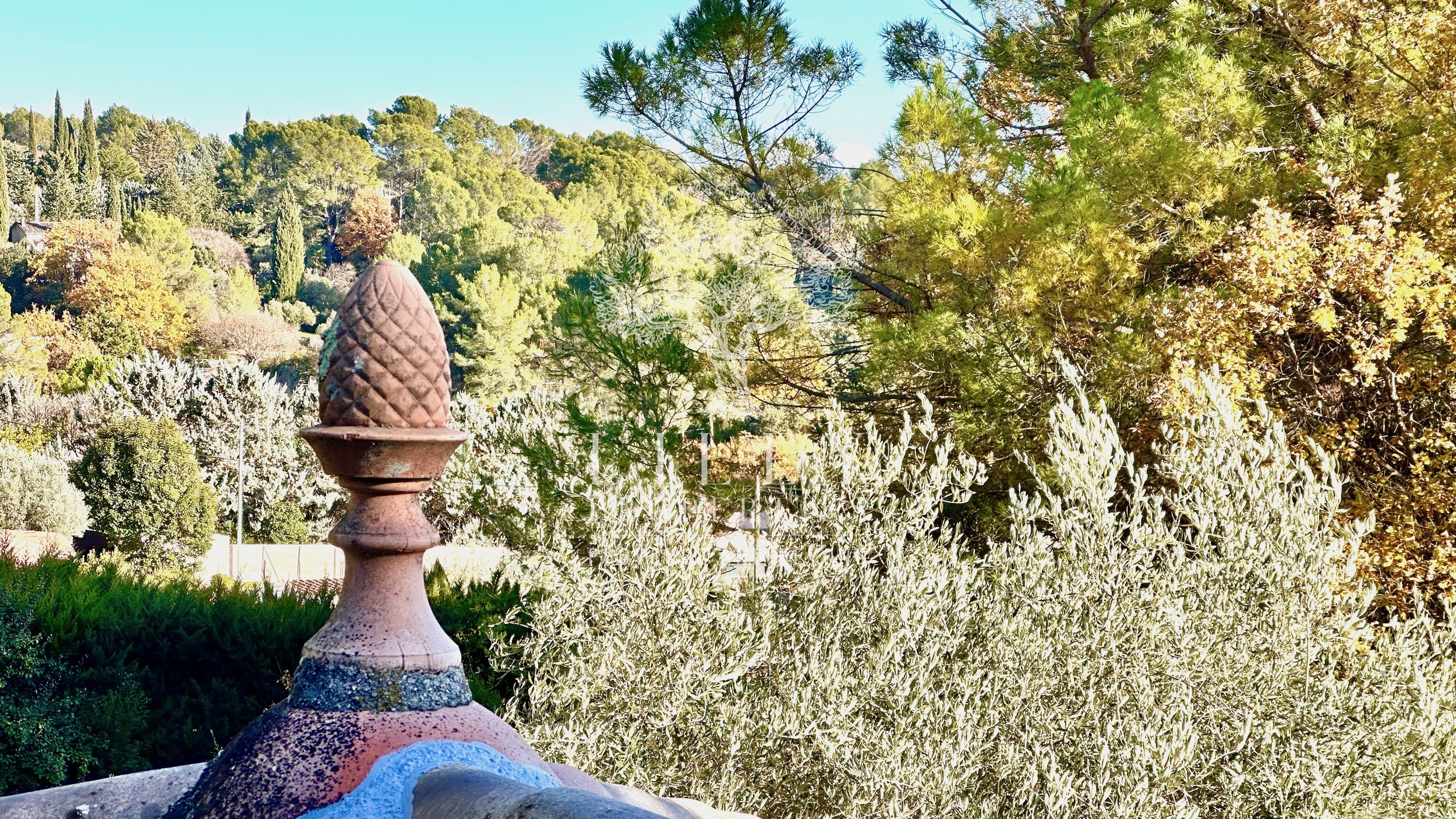 Vue depuis la tropézienne