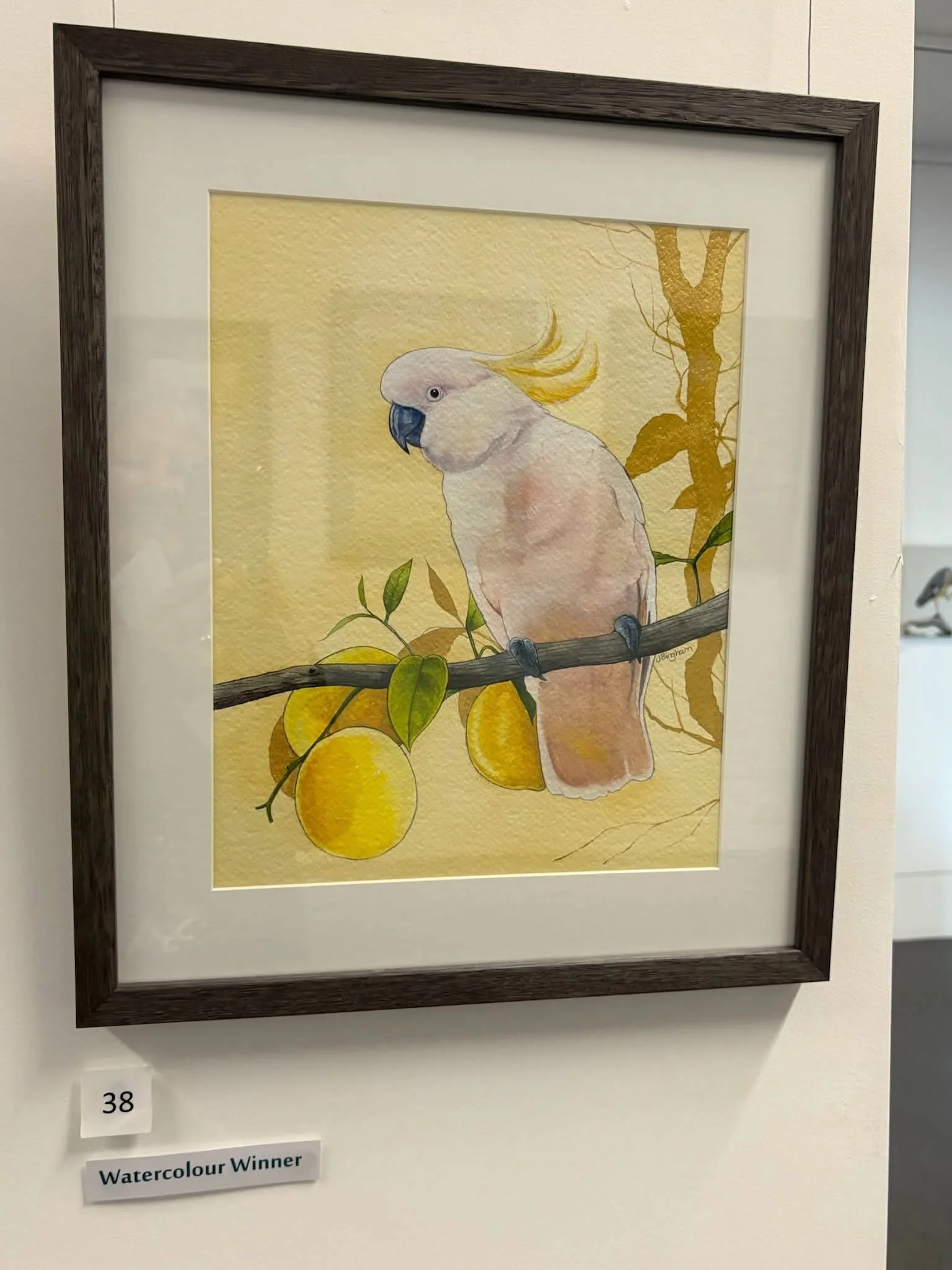 Bird Art Award winner 2026
