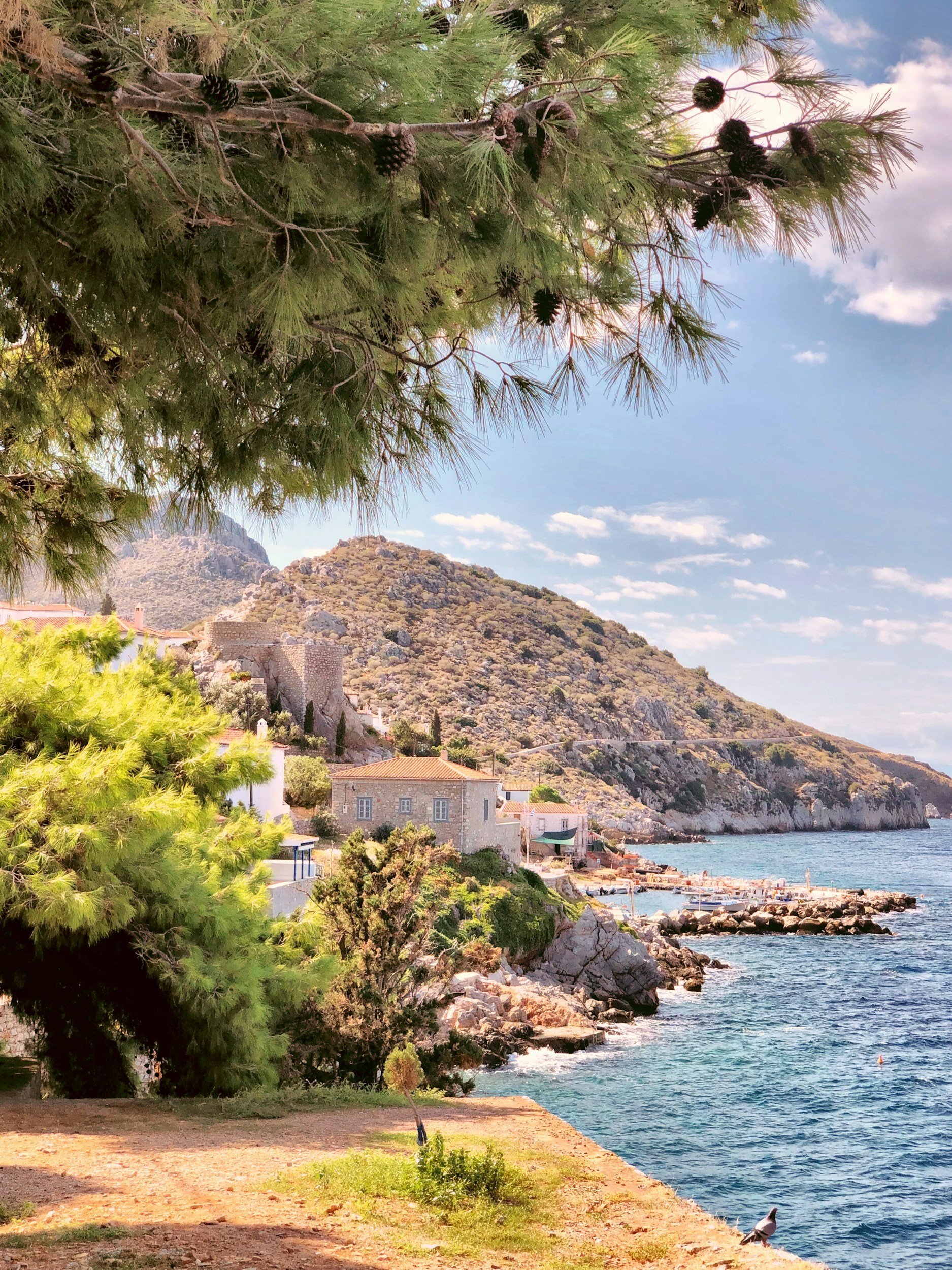 Traditional stone houses and greenery beside the coast on a Greek island.