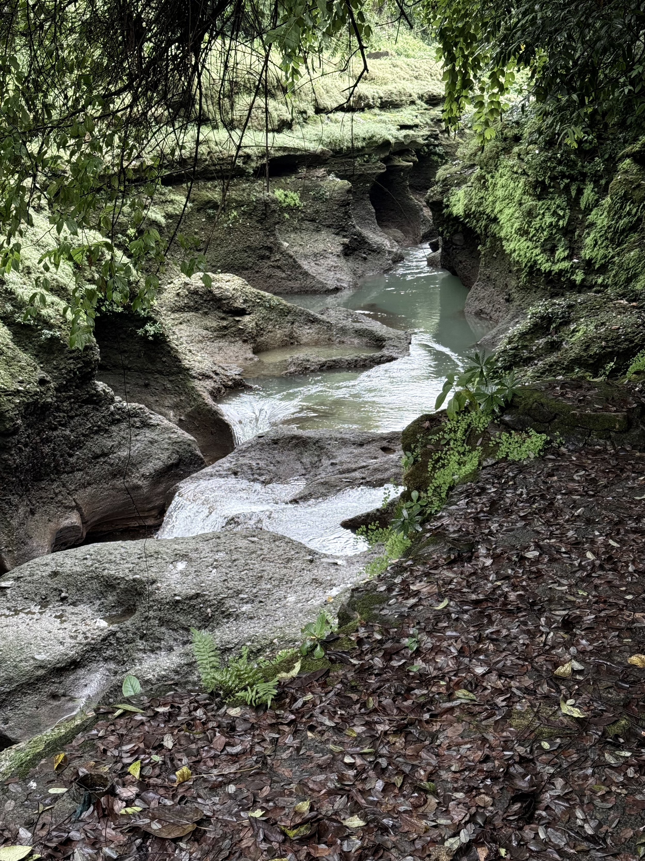 Lush forest and flowing river through a rocky gorge in Nepal.