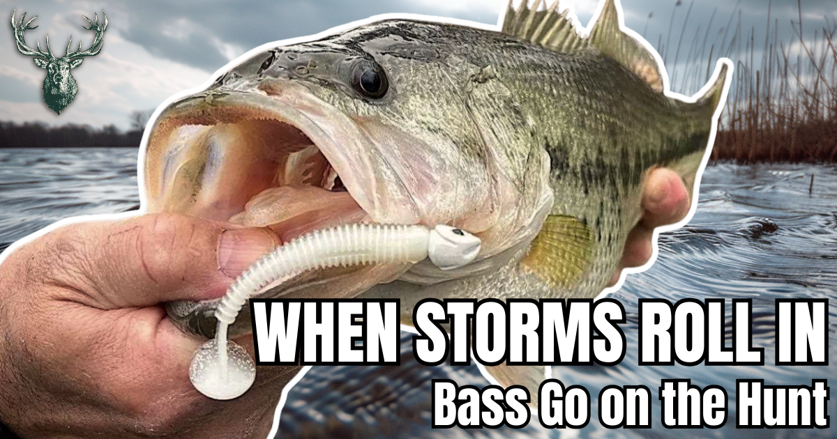When Storms Roll In, Bass Go on the Hunt