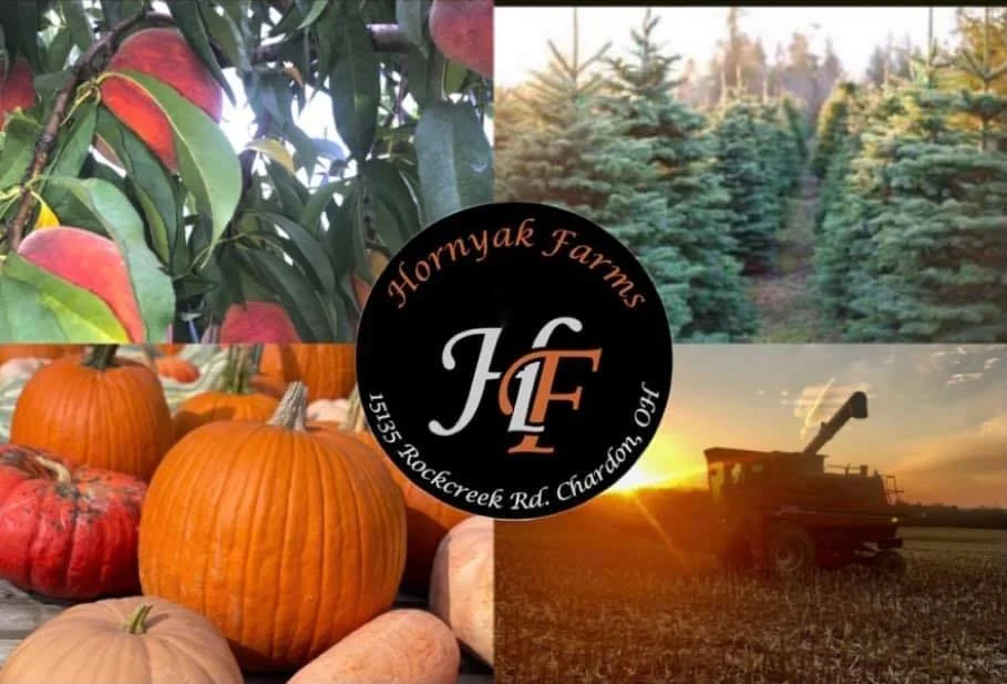 Froyo Shop Returns to Hornyak Farms for the 2026 Fall Season