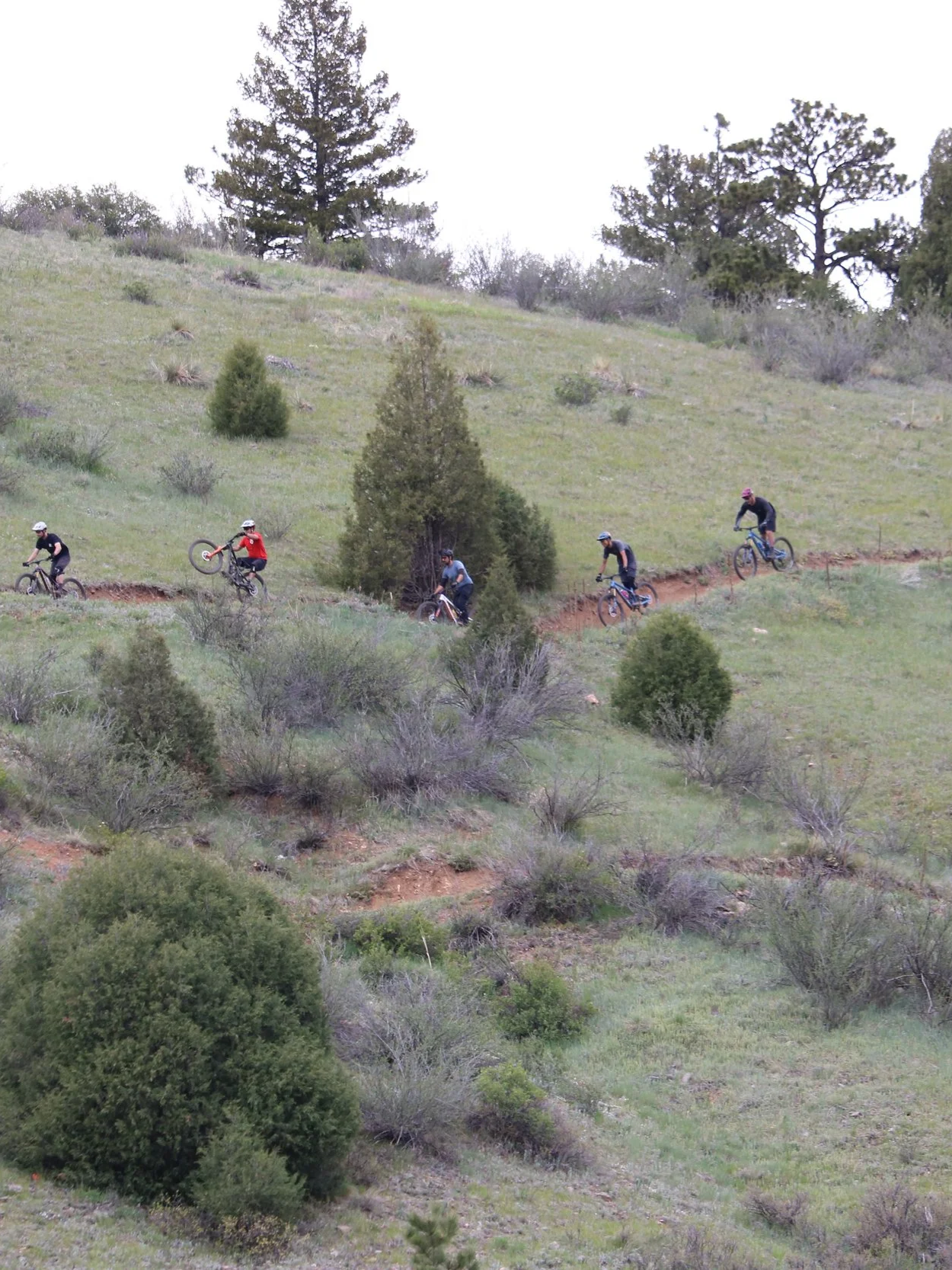 Five mountain bikers riding along a dirt trail on a grassy hillside with shrubs and trees.