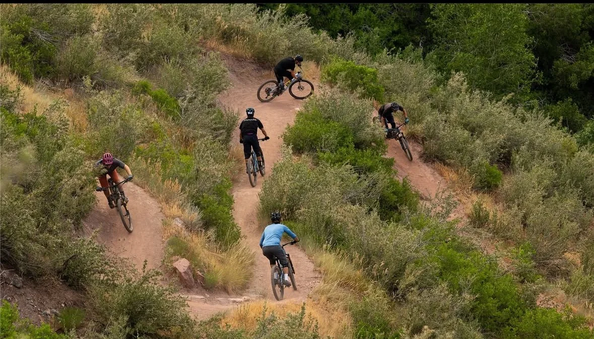 Five mountain bikers riding on a dirt trail surrounded by green bushes and trees.