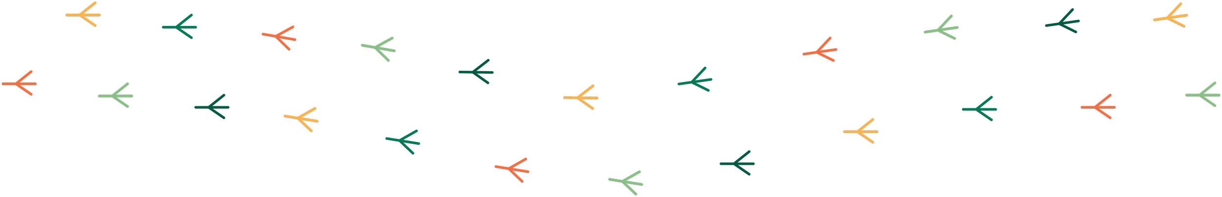 Me and You Care - Graphic Asset Bird Footprints