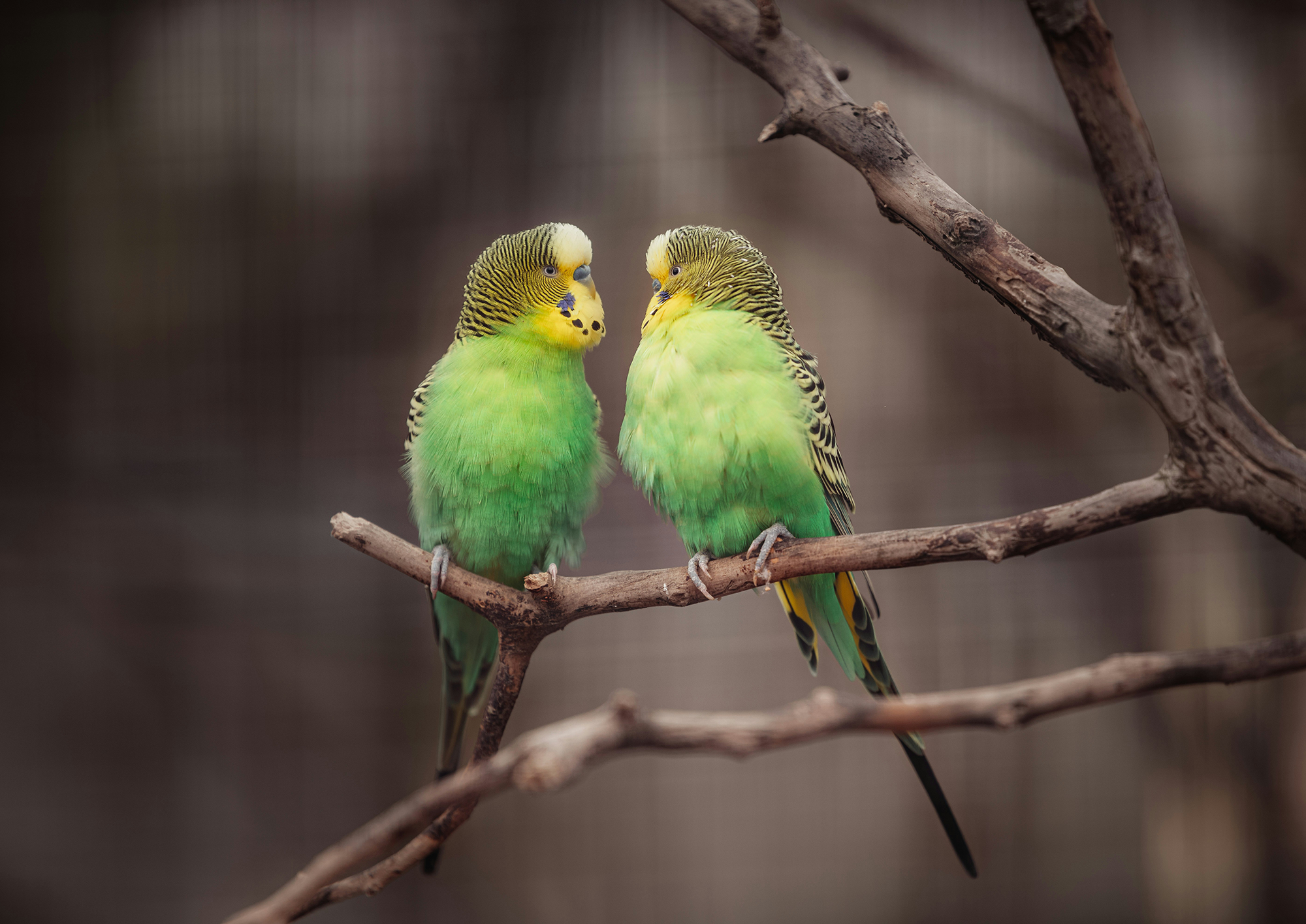 We’re proud to support every individual in reaching their full potential — side by side.