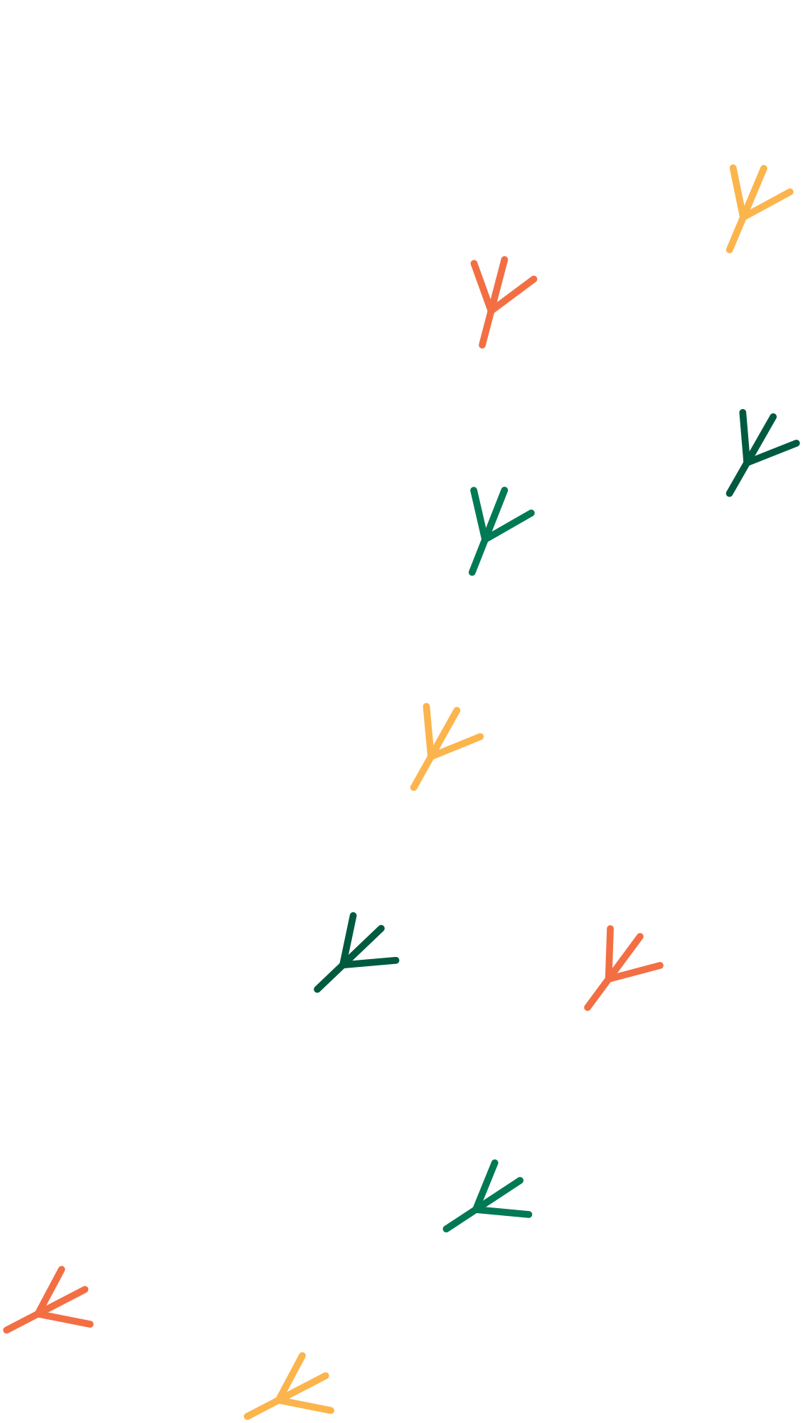 Me and You Care Support Services - bird prints