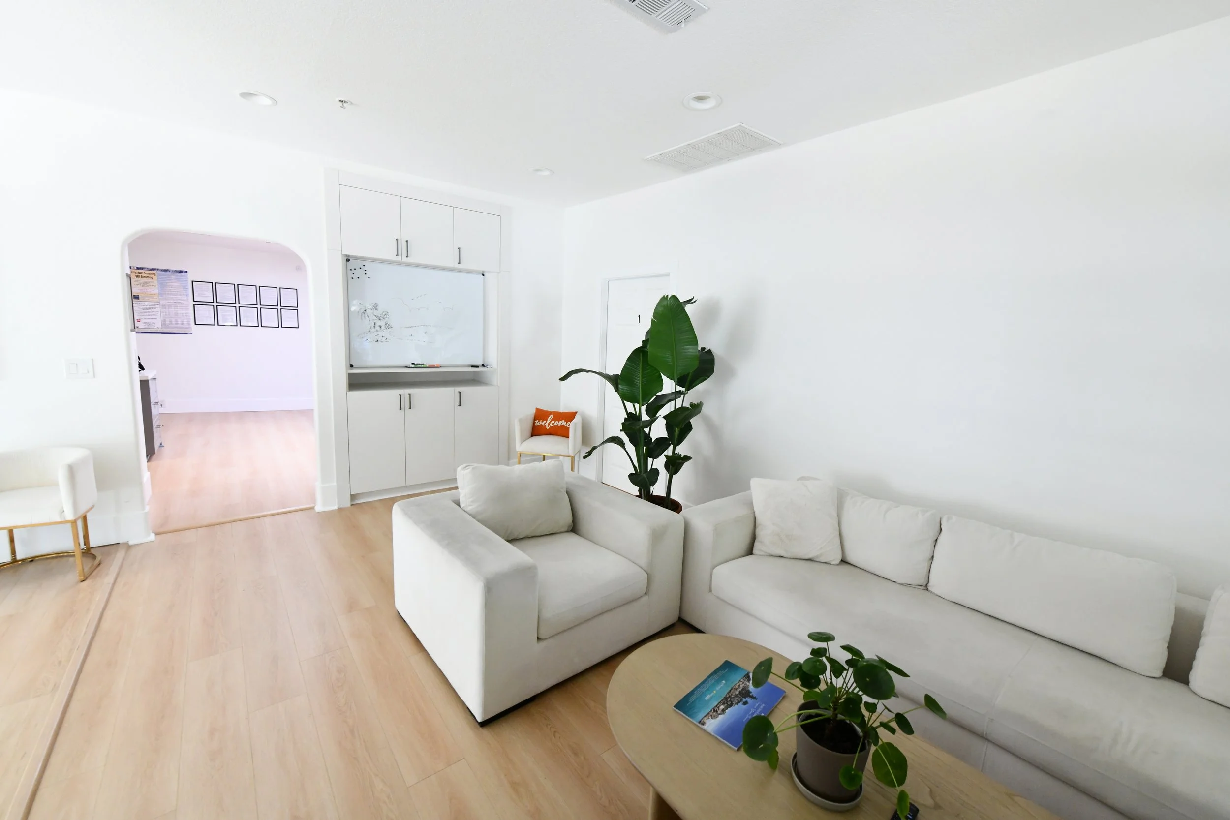 Living room with white sofa, potted plant, coffee table with book, white cabinetry, and white walls.