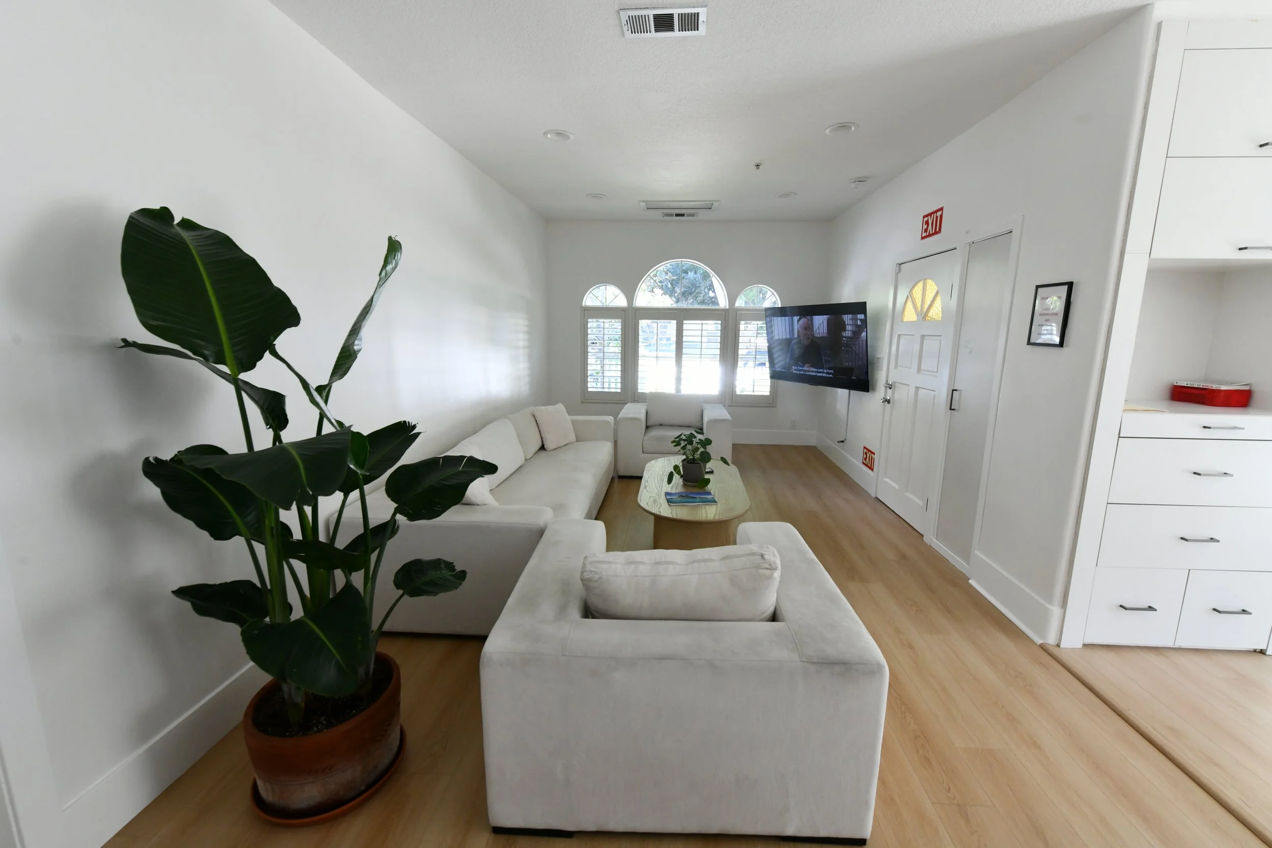 Bright living room with white walls and wooden flooring, featuring white sectional sofas, a wooden coffee table with books and a plant, a large potted plant in the corner, a mounted flat-screen TV, and an exit door with a small window.