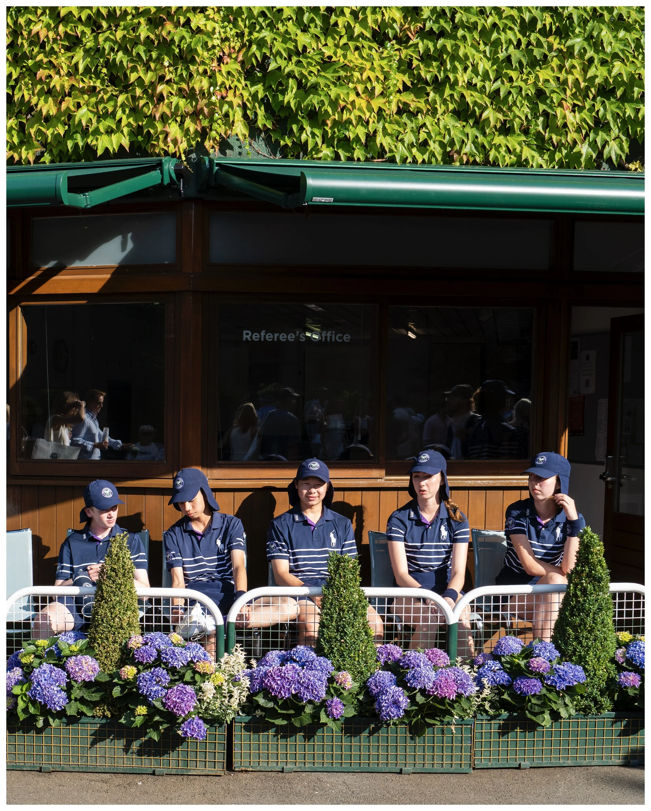 Wimbledon Gallery 2.jpeg