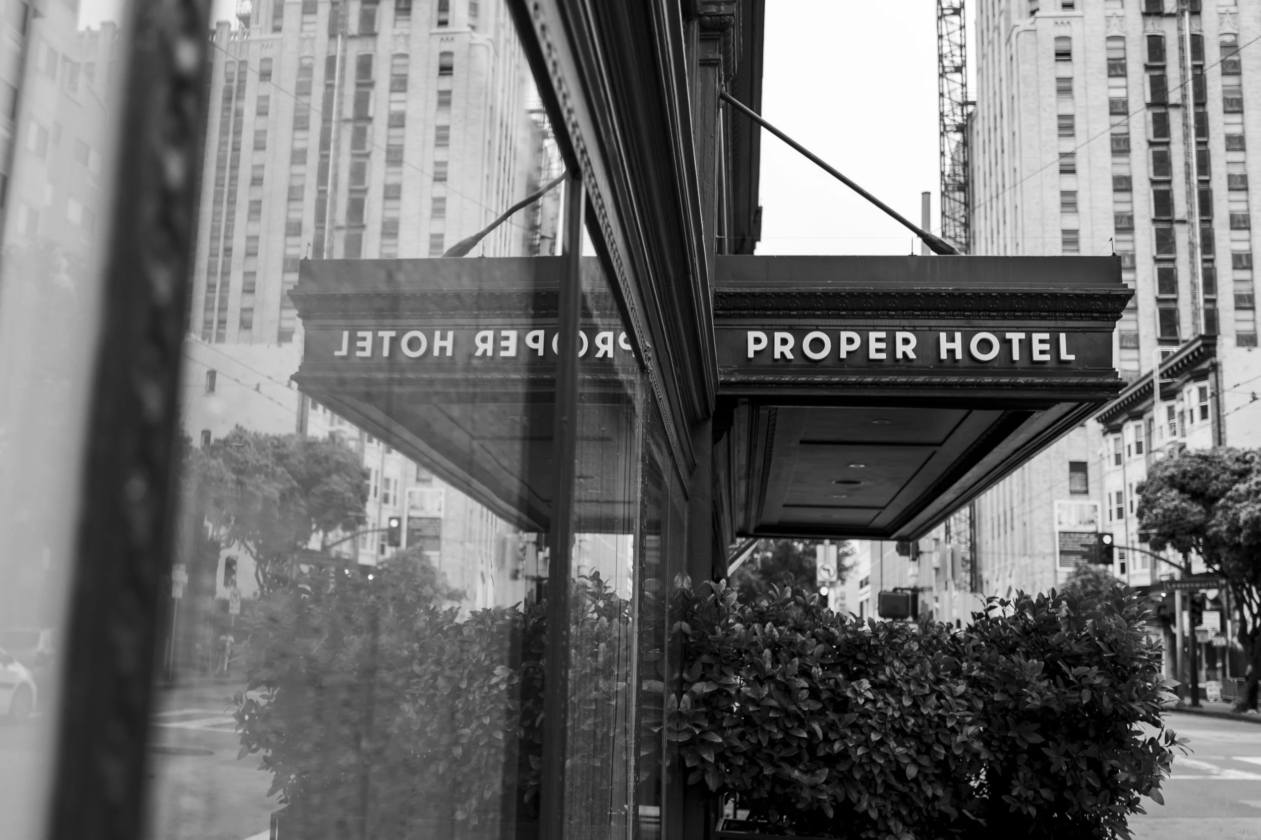 Proper SF Selects (Edited) -30.jpeg