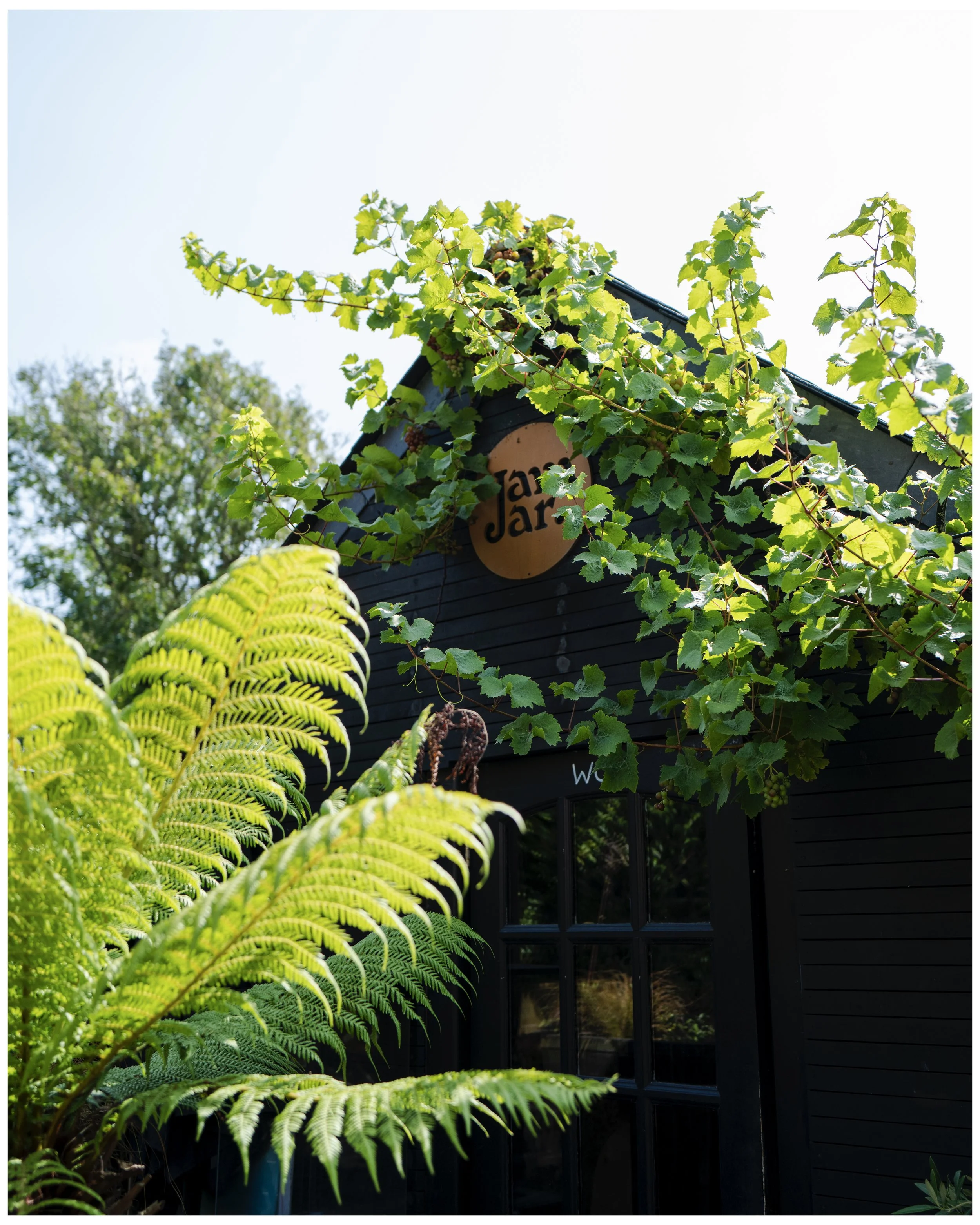 Cornwall assorted 5.jpg