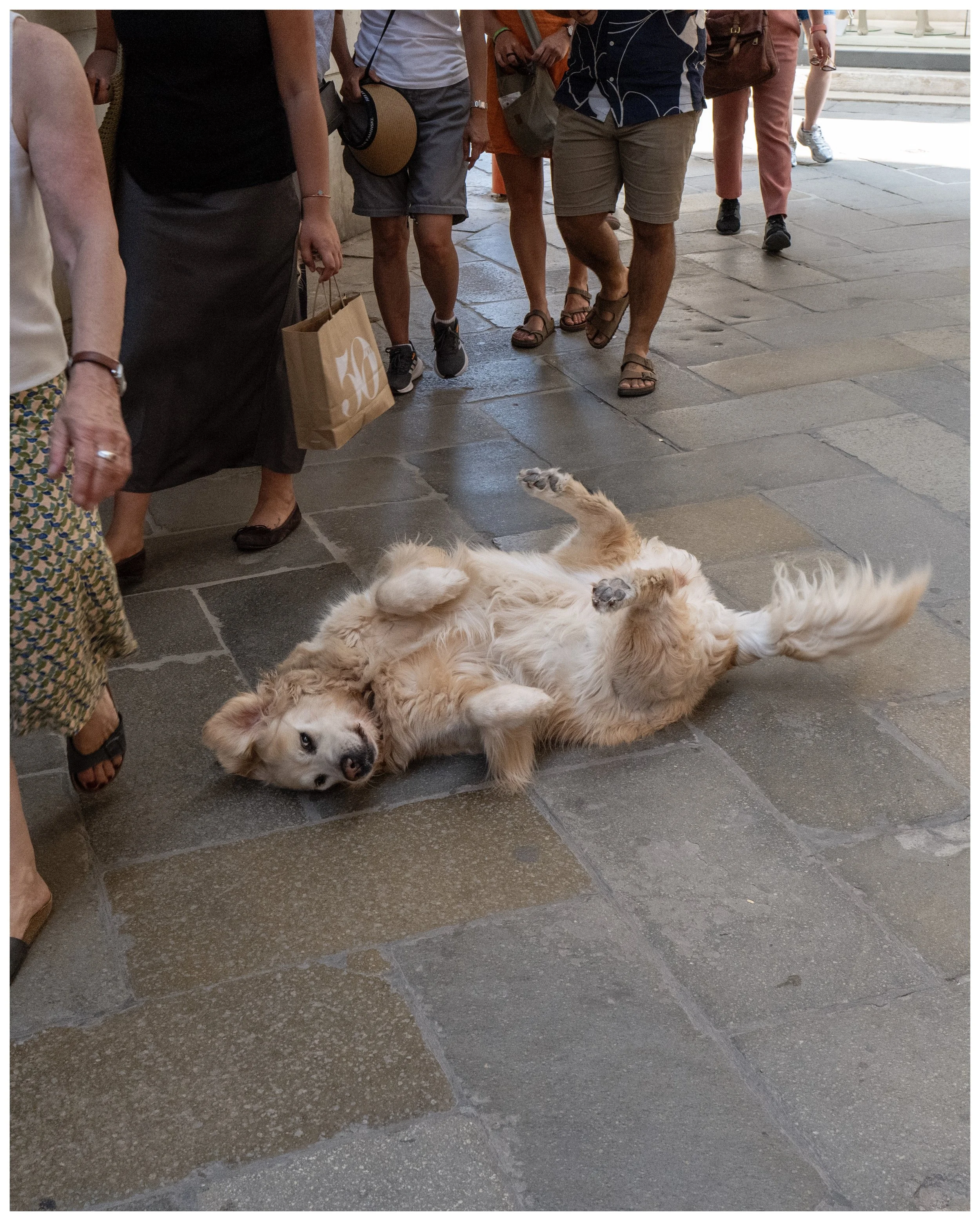 IMG_0042 15 Edited.jpeg