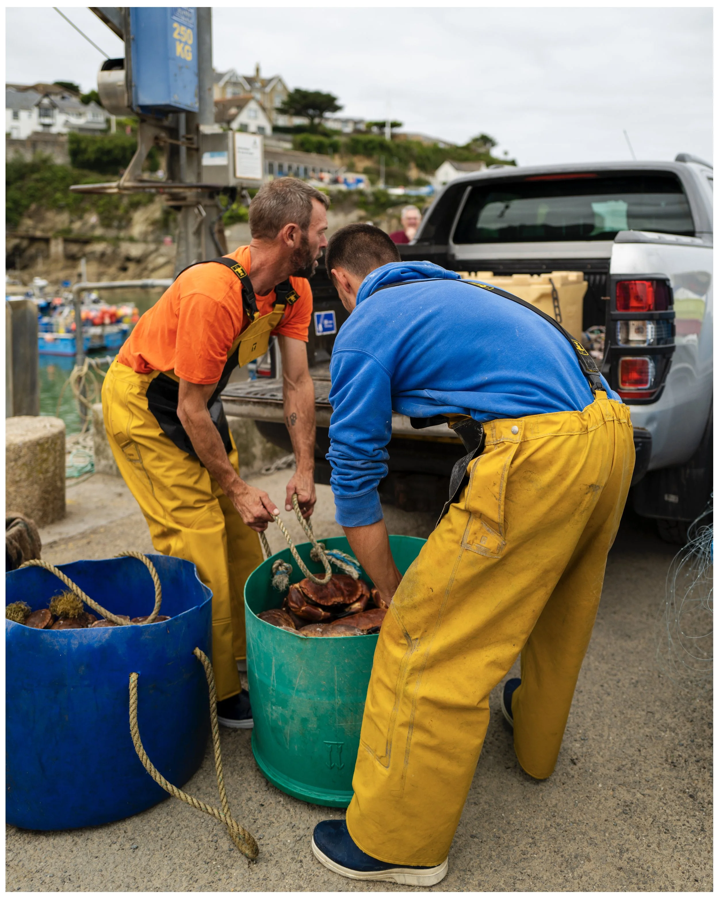 Cornwall Fish 12.jpg