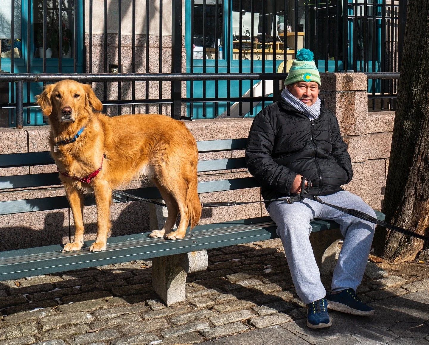 New York 9.JPG