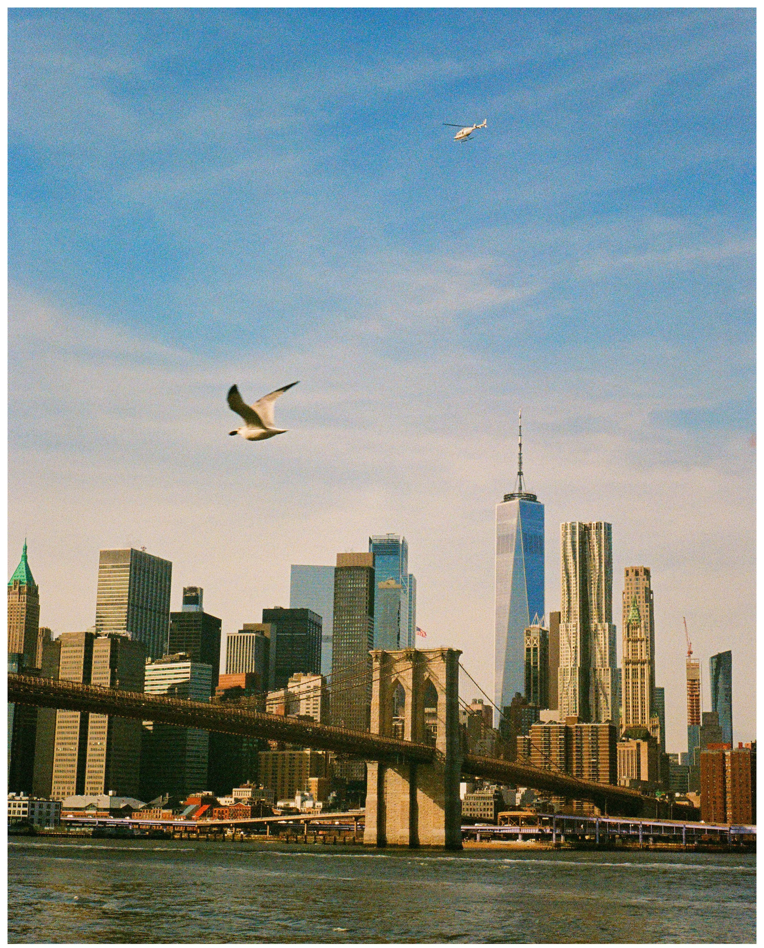 EF980220-A7A6-4F06-A04D-968A3F80D79A.JPG