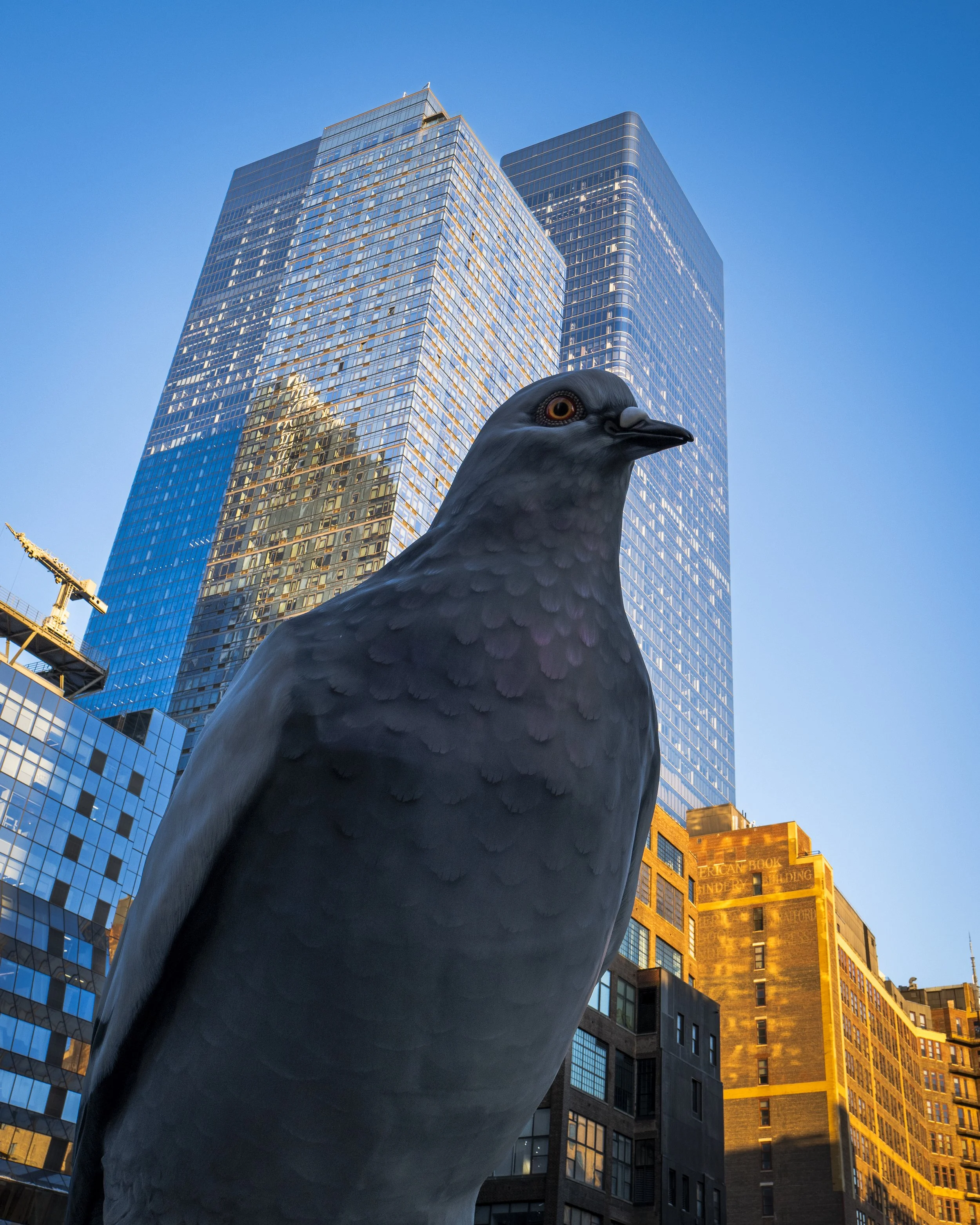New York 7.jpeg