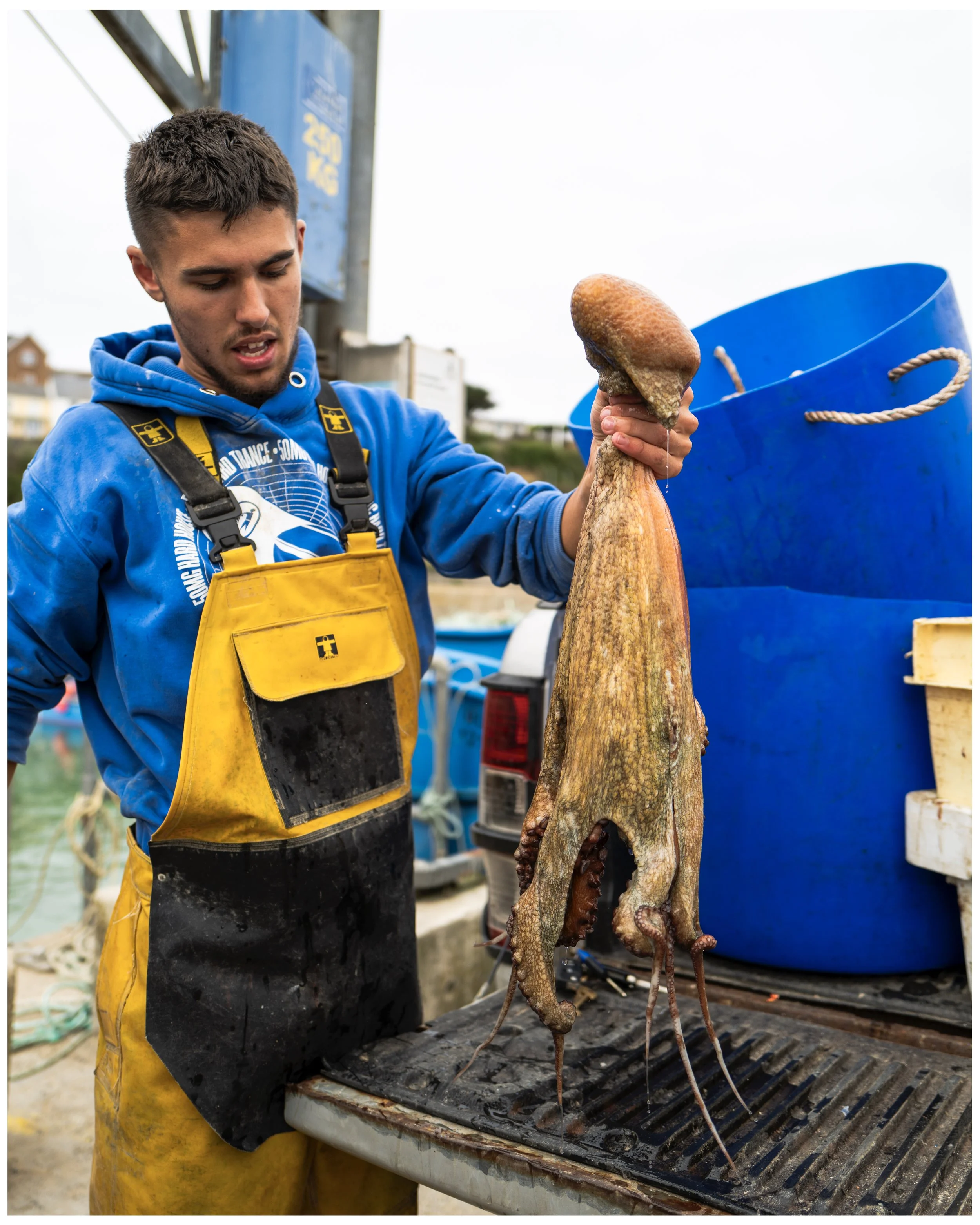 Cornwall Fish 14.jpg