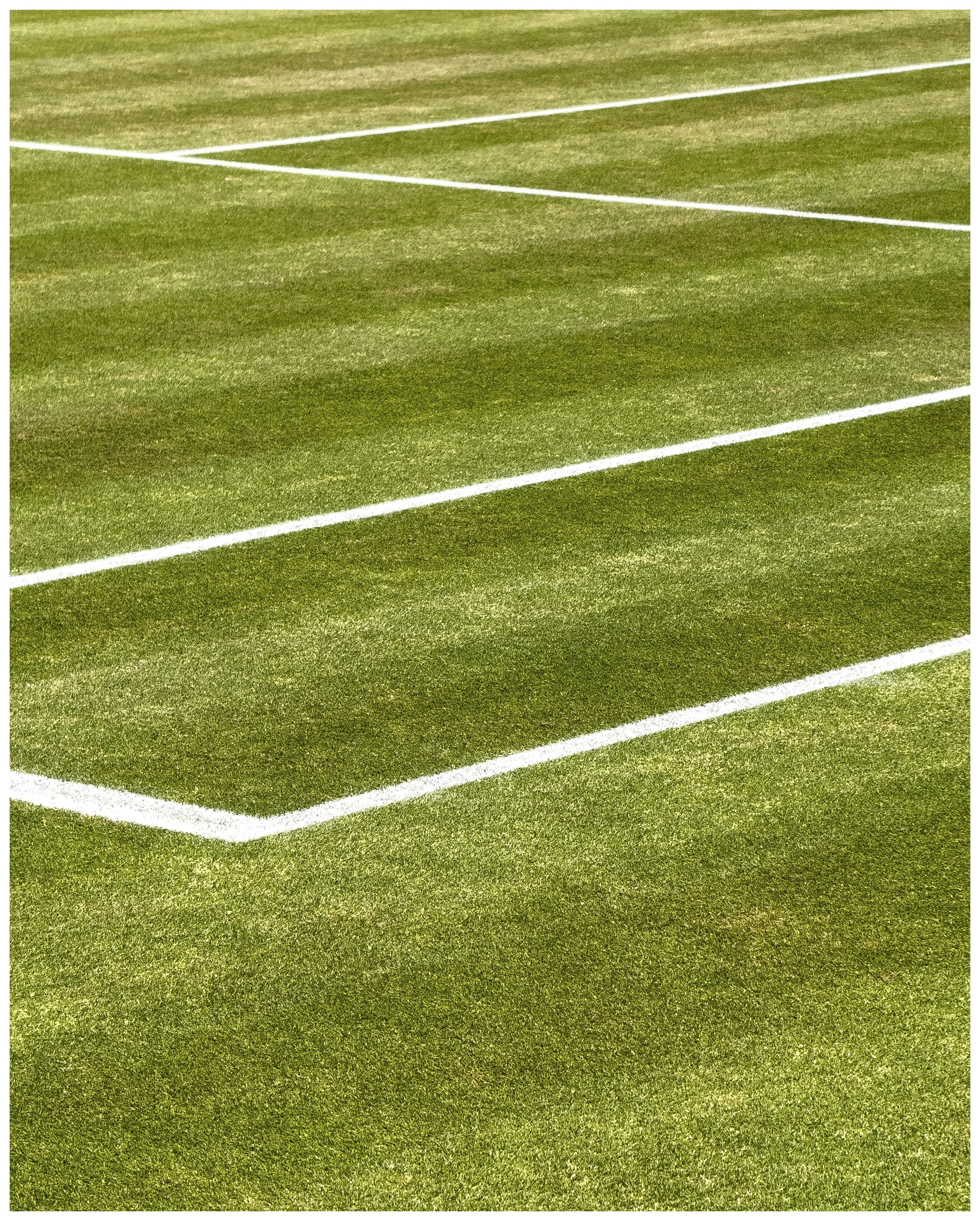 Wimbledon Gallery 4.jpeg