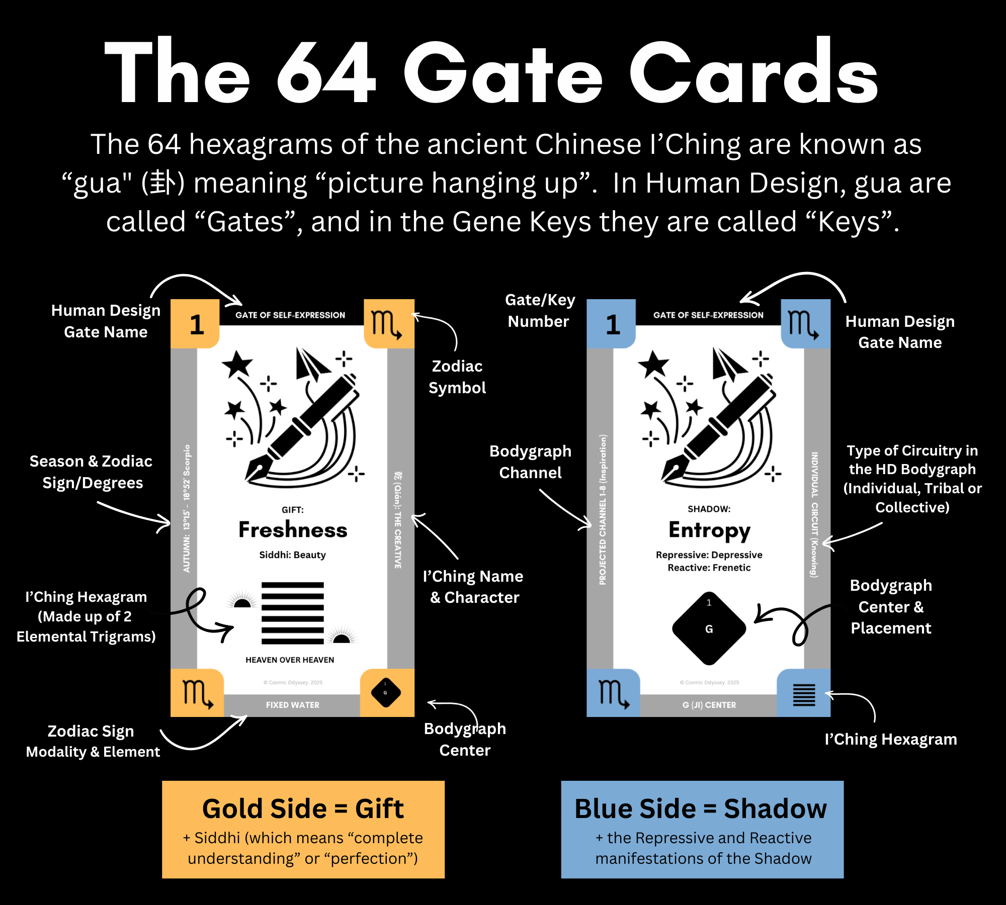 An infographic explaining the 64 gate cards in Chinese I Ching, illustrating the symbolic meanings, hexadecimal elements, zodiac signs, and bodygraph channels for each gate, with color coding for gift and shadow traits.