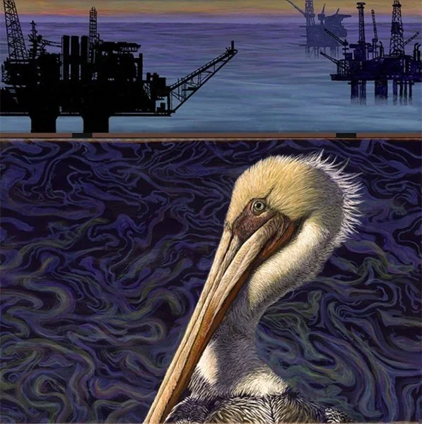 Petroleum and Pelicans