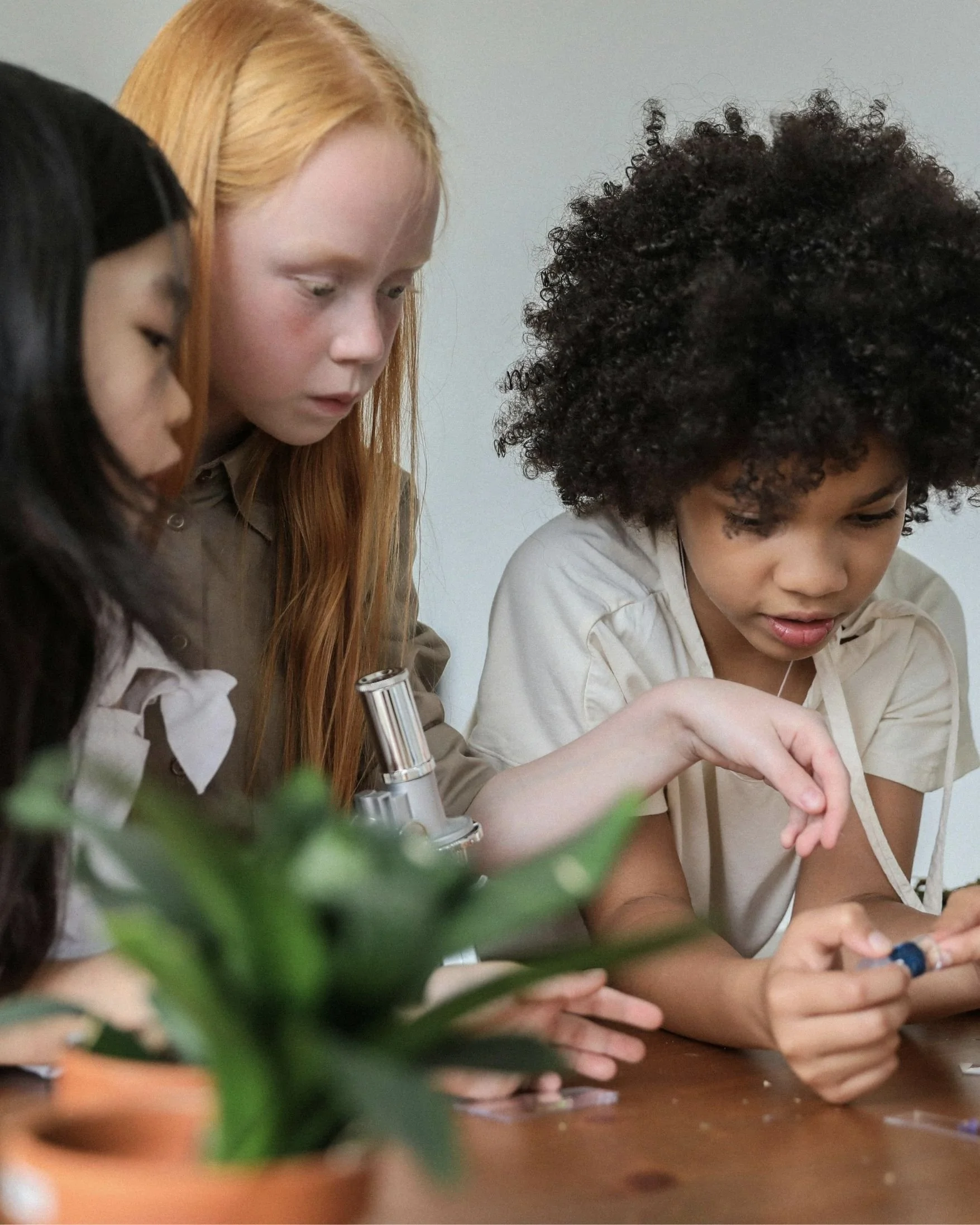 Youth Science and Observation