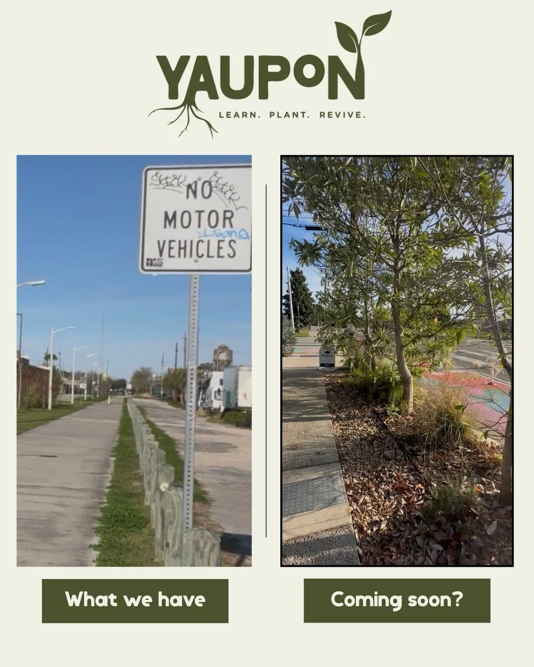 We&rsquo;re reimagining overlooked urban space in Mid-City &mdash; planting native habitat that helps with flooding, heat, and biodiversity. Here&rsquo;s one section of the first site that we think could use some ❤️

This February planting is one par