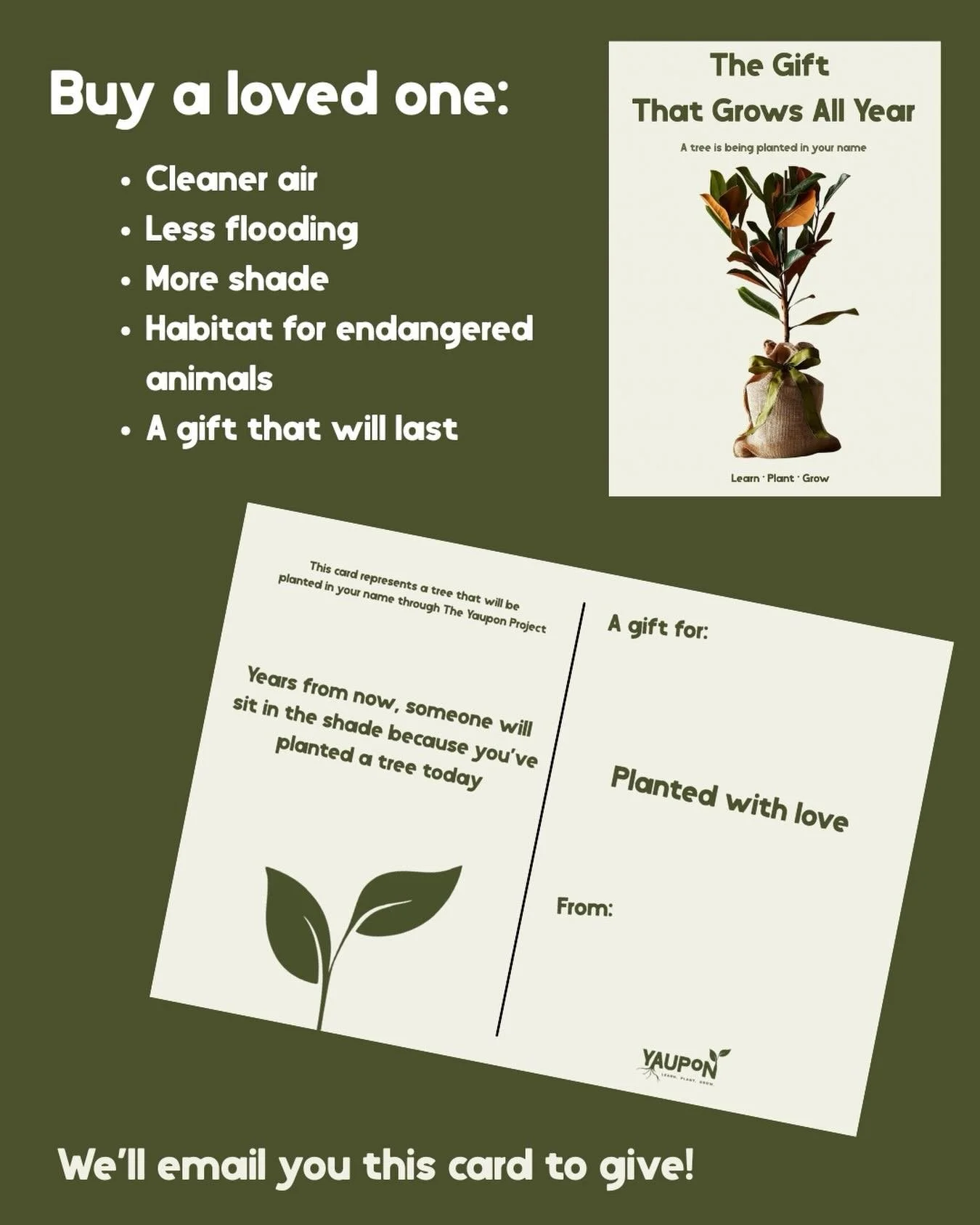 Donate to the link in our bio to give a loved one the gift of life!

- 35 dollars buys an ecosystem grasses &amp; pollinators (Gulf muhly, Louisiana Iris)
-65 gets some understory trees (sweet bay magnolia, Yaupon Holly, etc)
-100 plants a canopy tre