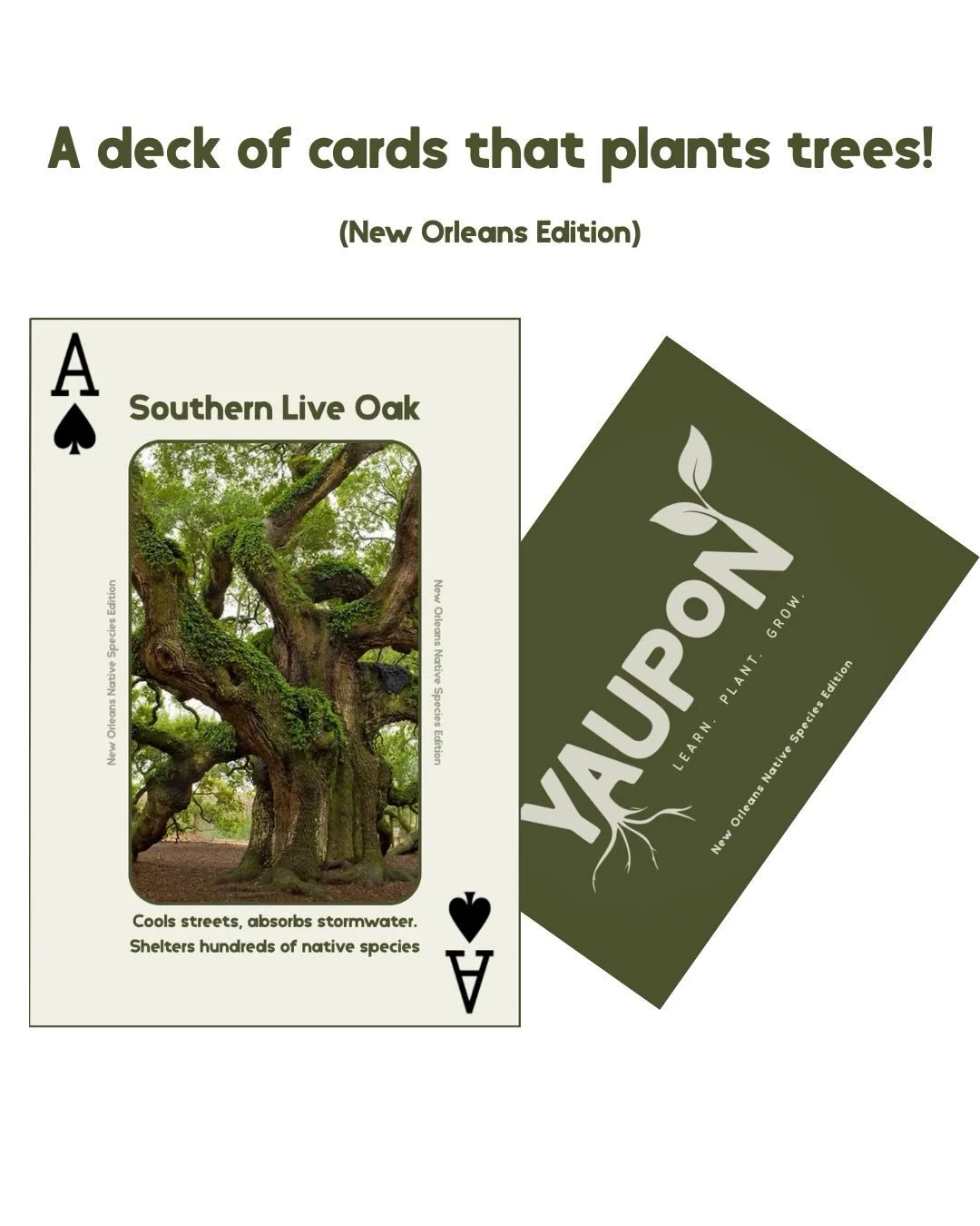 A deck of cards that plants trees 🌳