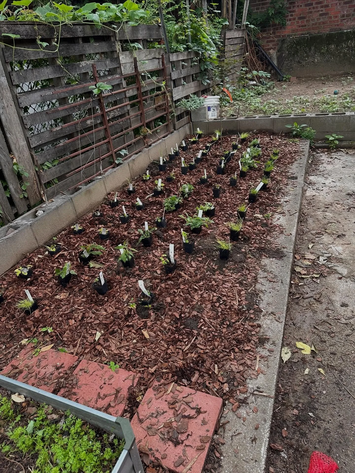 Earth Day always makes me think about how much of our cities used to be alive- and how much of it still can be.

From huge lots to the tiniest of neglected spaces, choose to see possibility. 

More soon.🌱

#dosomething