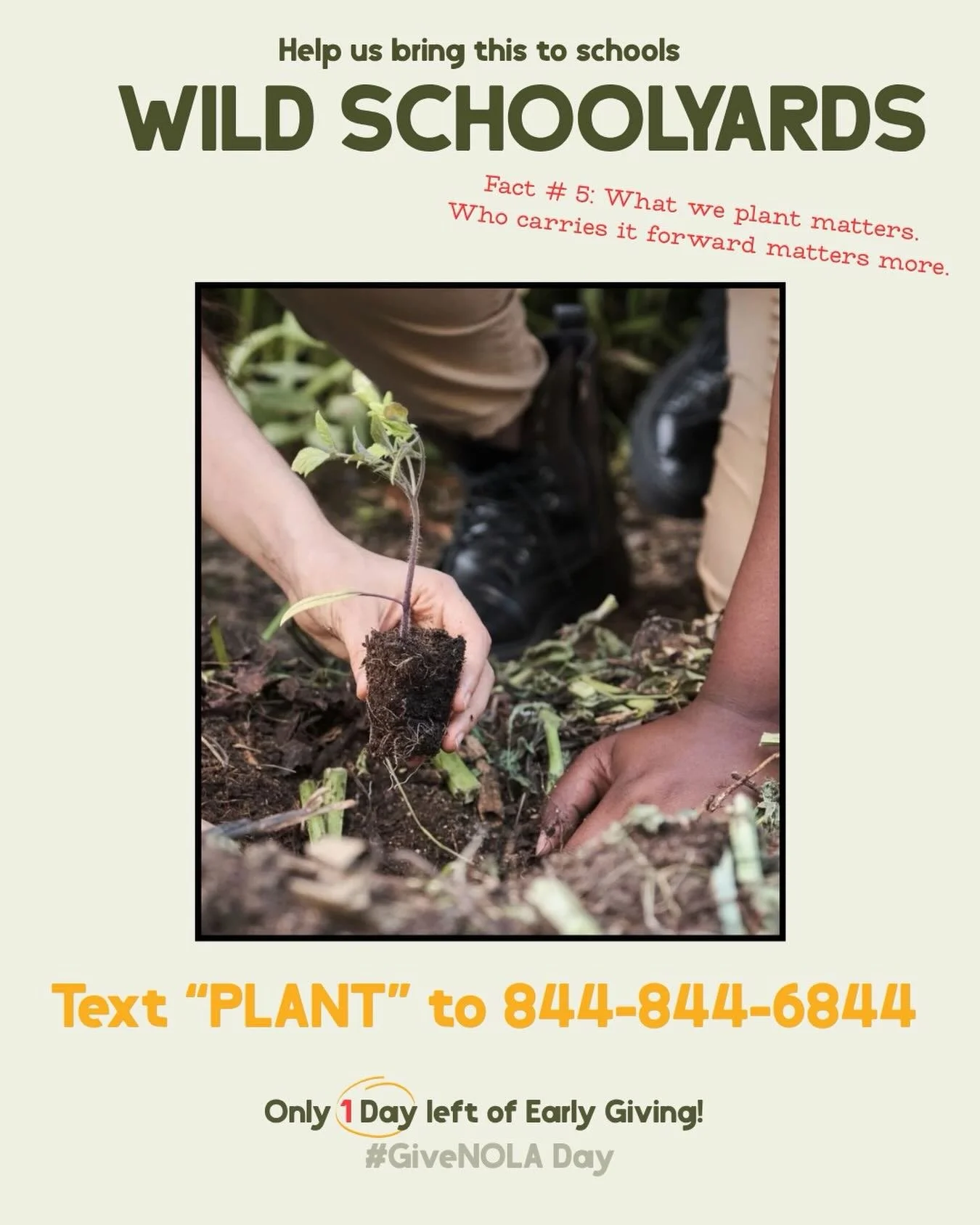 Fact #5: What we plant matters.
Who carries it forward matters more.

Planting trees is powerful.
But what happens after matters just as much.

We&rsquo;re working to bring Wild Schoolyards to schools&mdash;spaces where students don&rsquo;t just lear