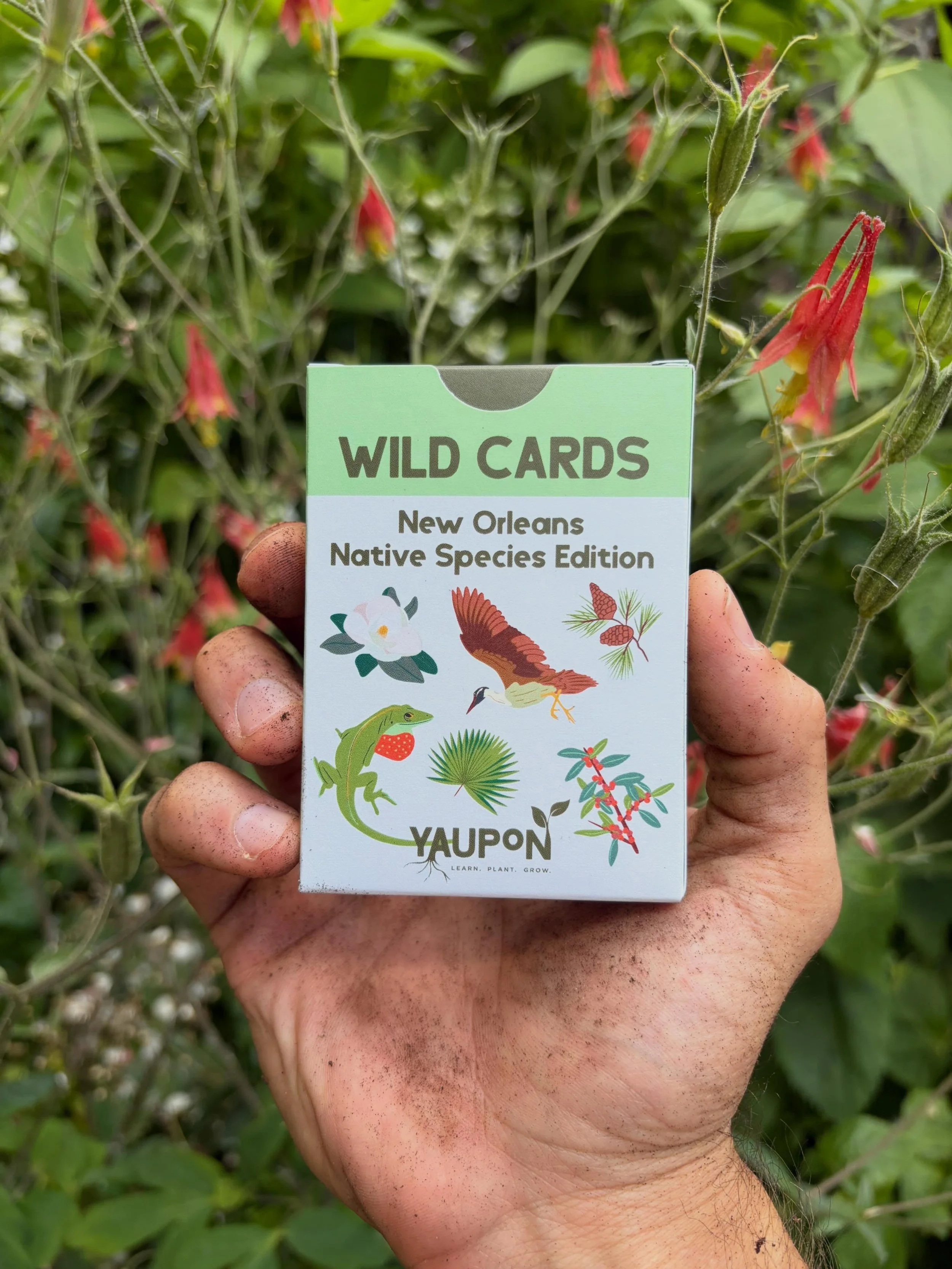 Planting is bigger than putting native species into the ground.

It&rsquo;s helping kids understand what those species are really helping.

When a student plants a tree, shrub, or flower, the lesson shouldn&rsquo;t end with digging a hole.

The real 