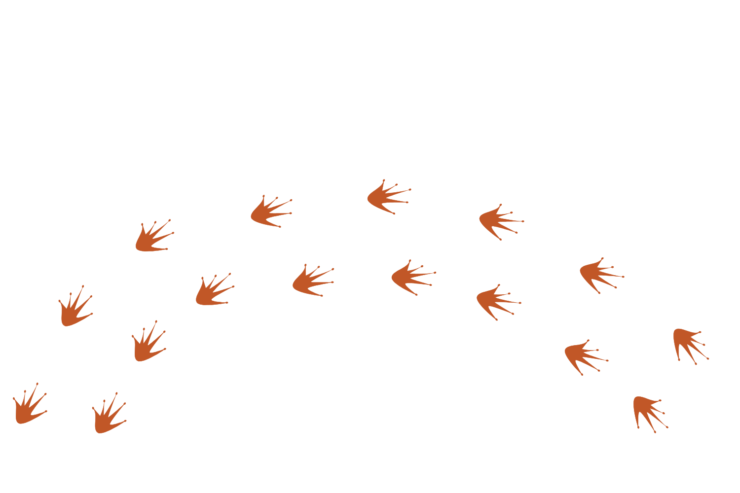 Decorative element - Lizard prints