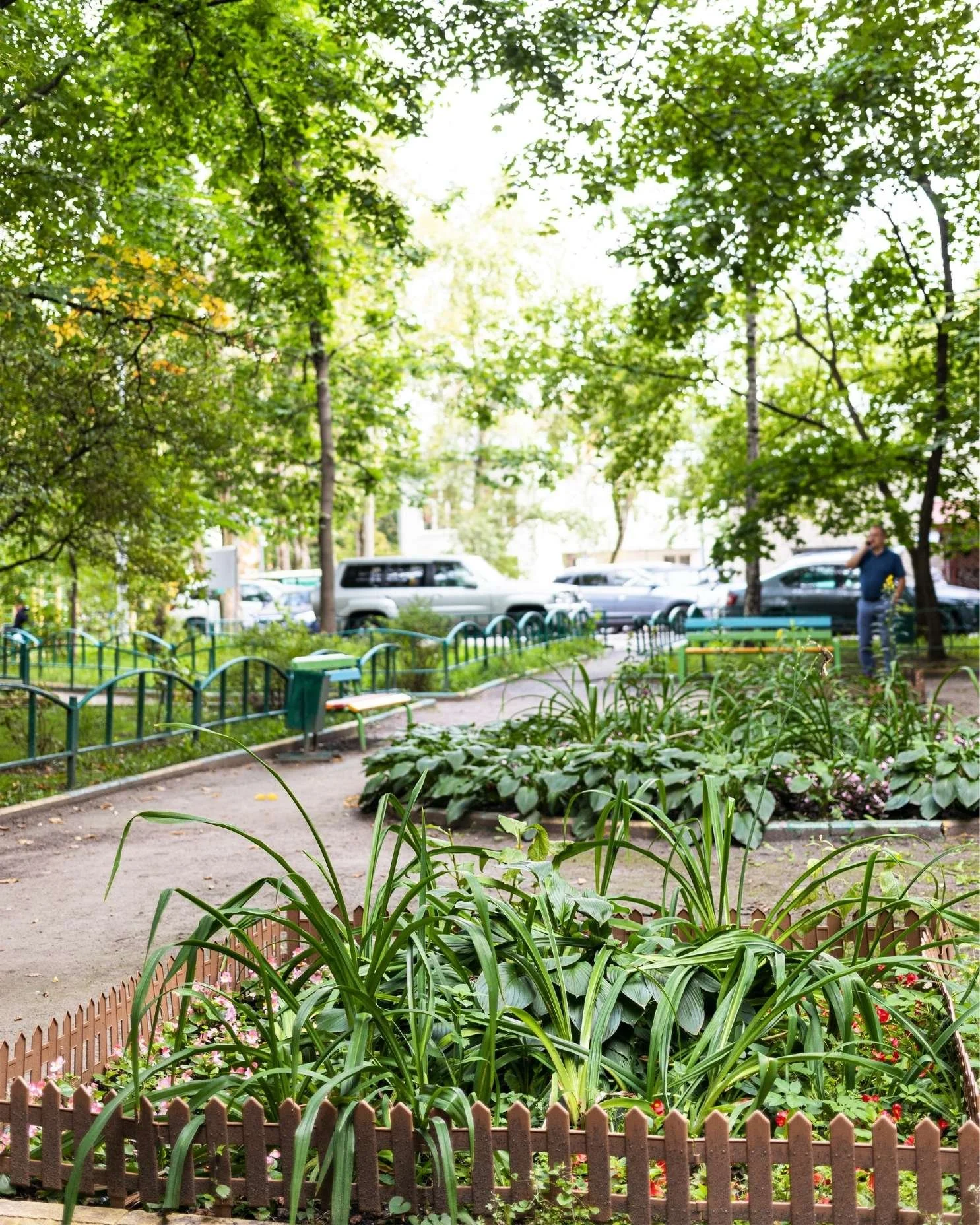 Native plants integrated into an urban courtyard landscape.