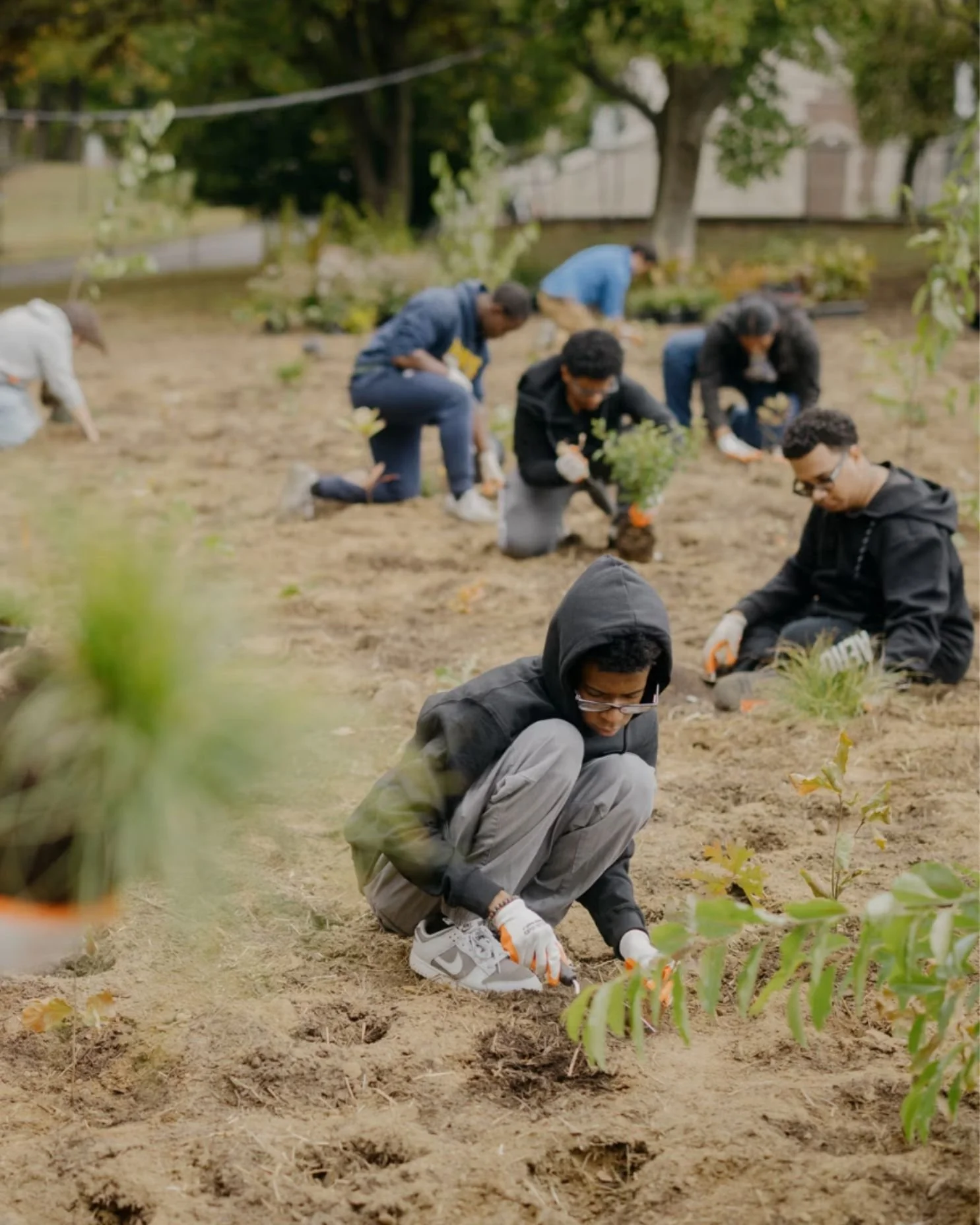 Community Stewardship in Action