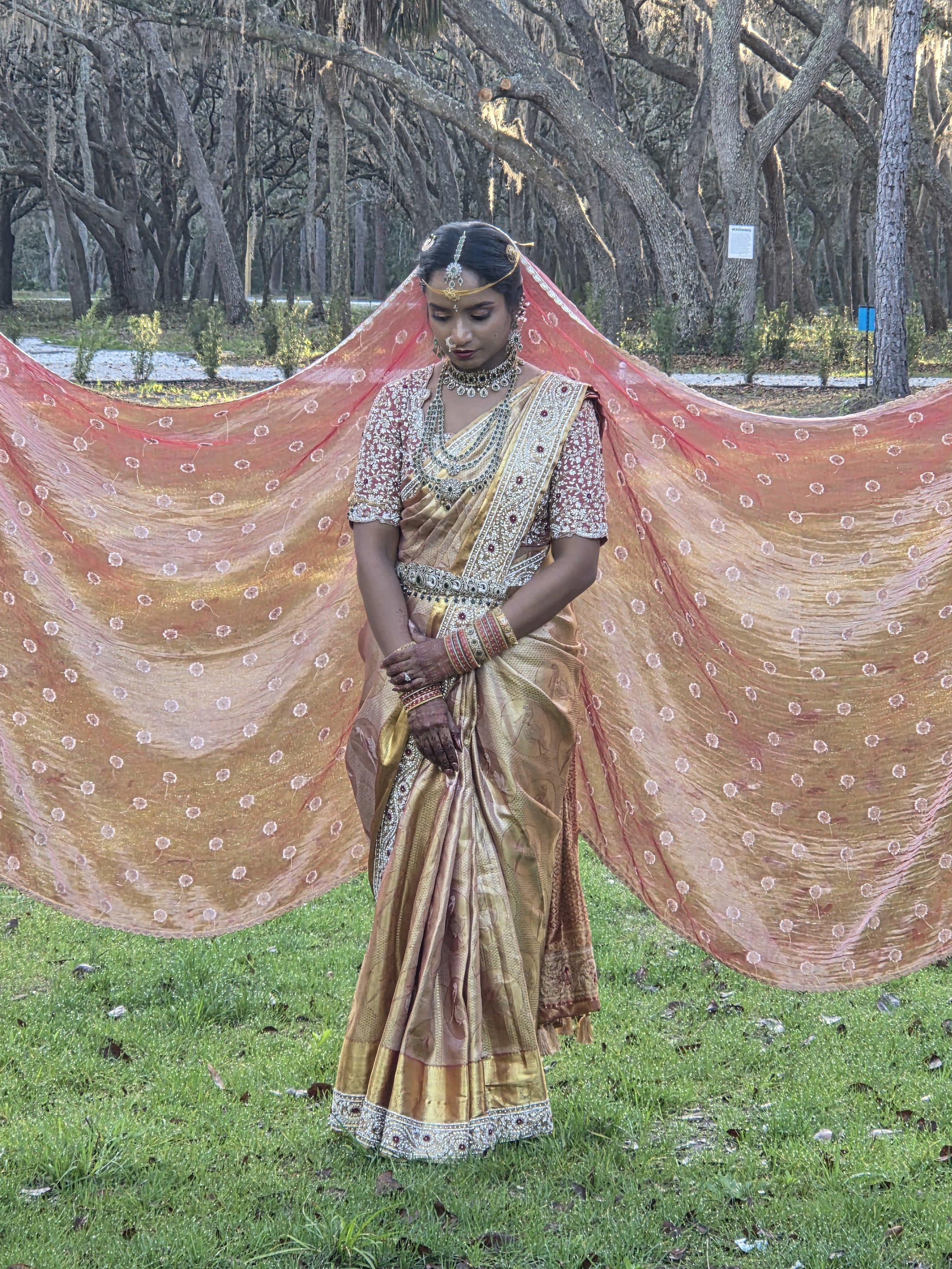 A woman in traditional Indian saree and jewelry stands in a park with tall trees and green grass, holding a pink shawl with embroidery spread behind her.