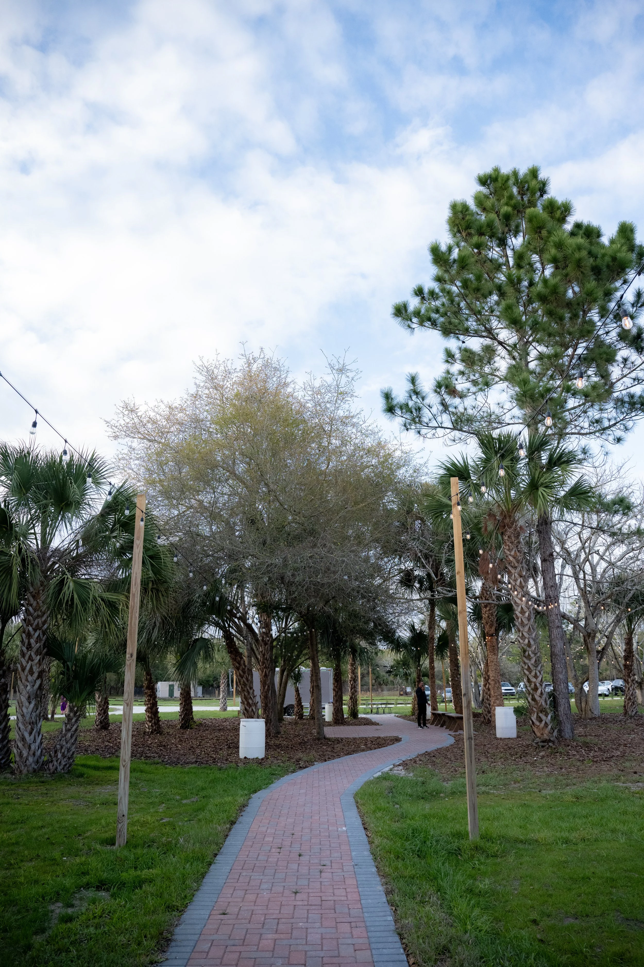 A curved brick pathway through a park with tall trees, including a large pine tree, and string lights hanging above. There are benches and some people in the distance.