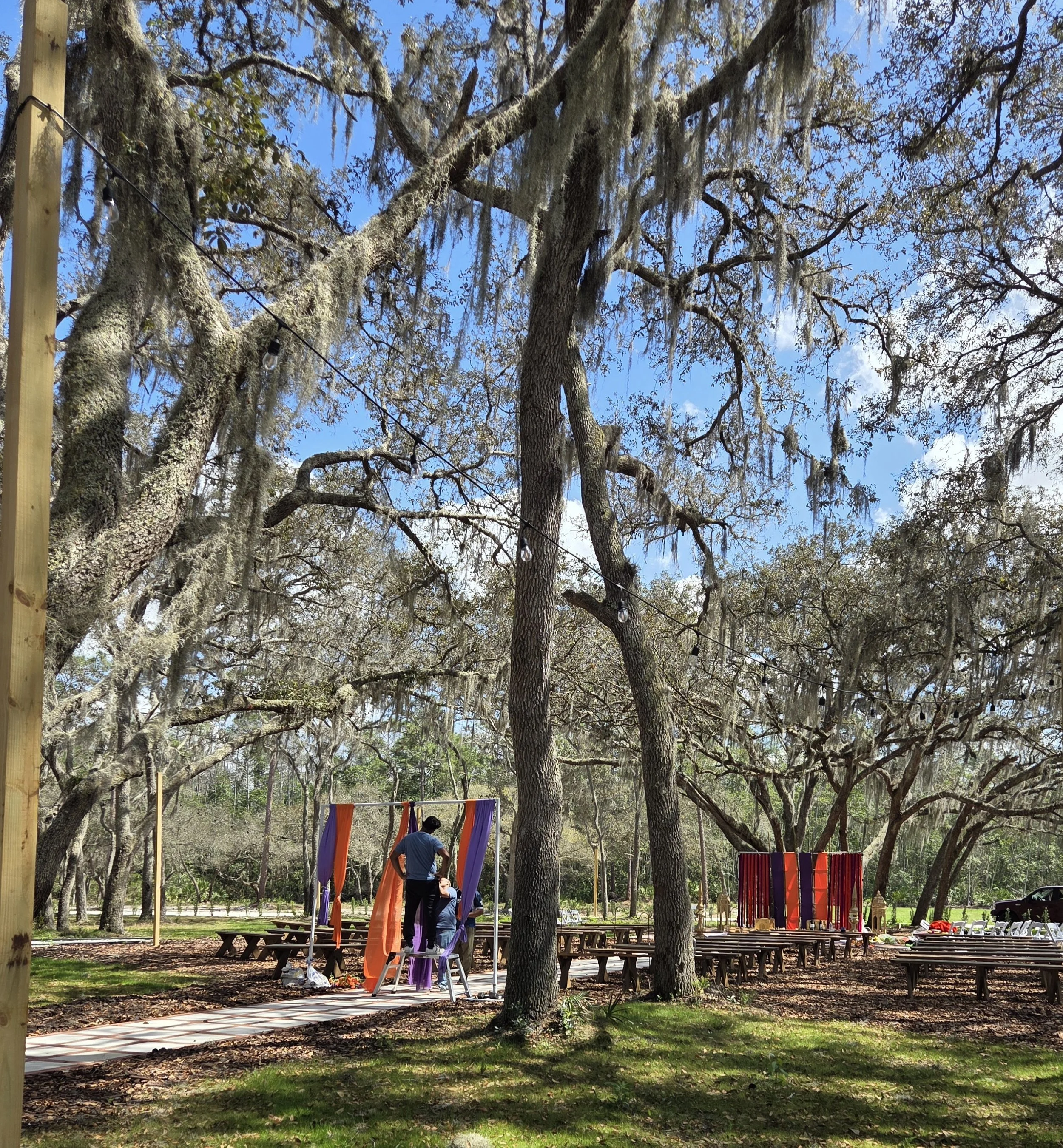 Outdoor event setup in a wooded area with trees covered in Spanish moss, decorated with vibrant orange, purple, and red banners and drapes. Tables are arranged with items, and a few people are present, possibly setting up or preparing for an event.