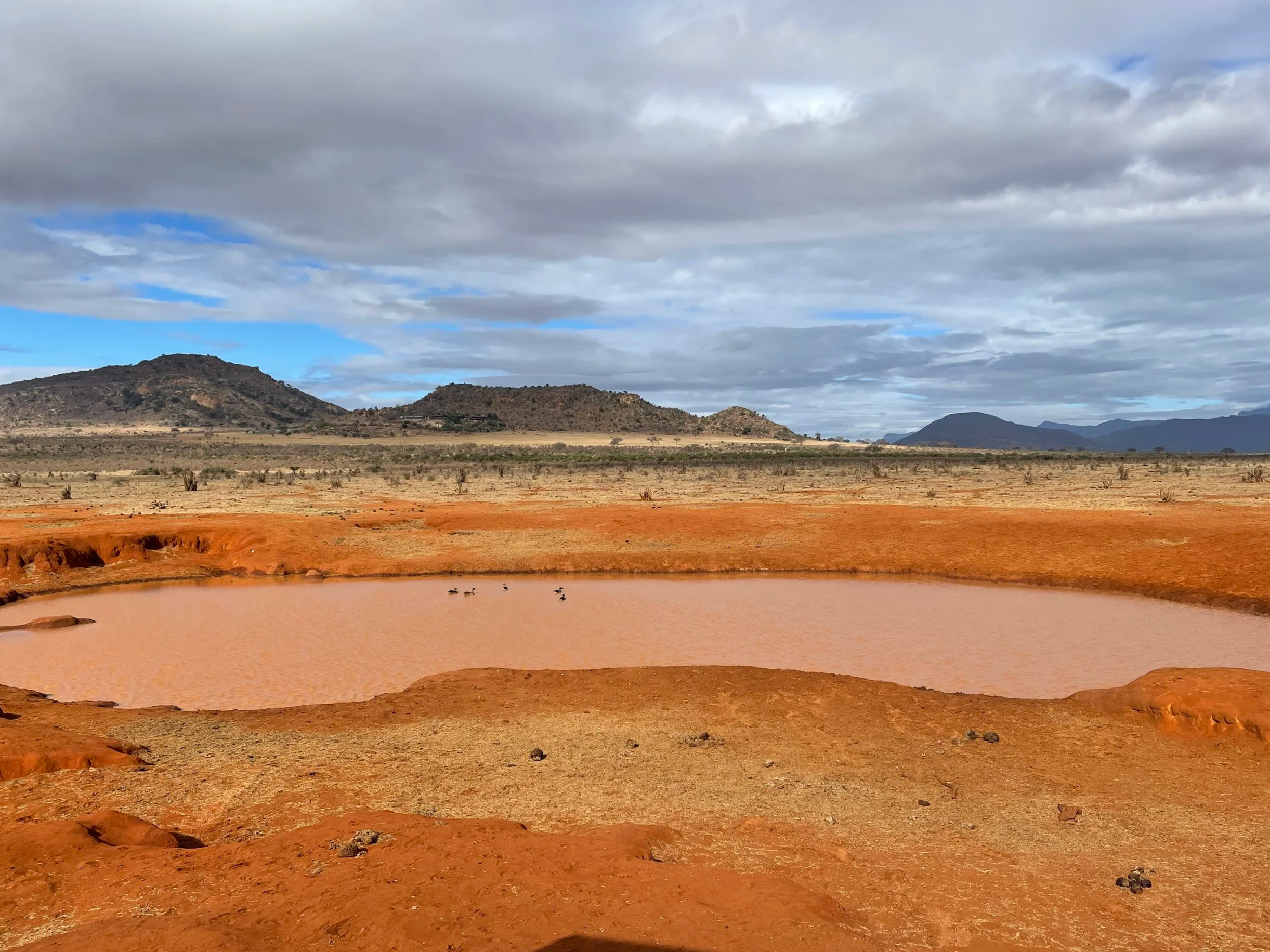 A desert landscape with reddish-orange soil, a small pinkish lake, and a group of ducks swimming in the lake. In the background, there are hills and mountains under a partly cloudy sky.