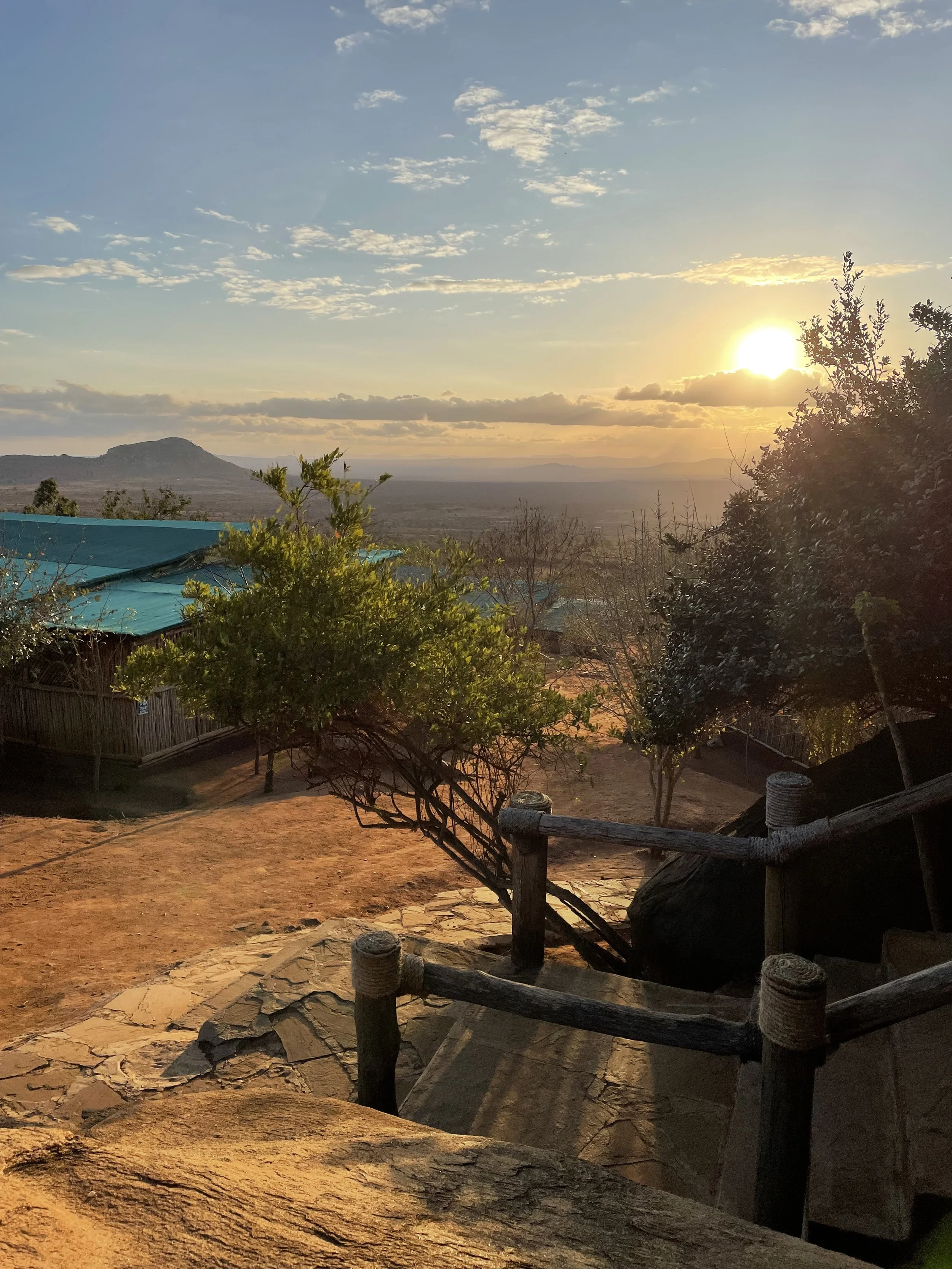 Sunset over a landscape with trees, a mountain, and a fence in the foreground.