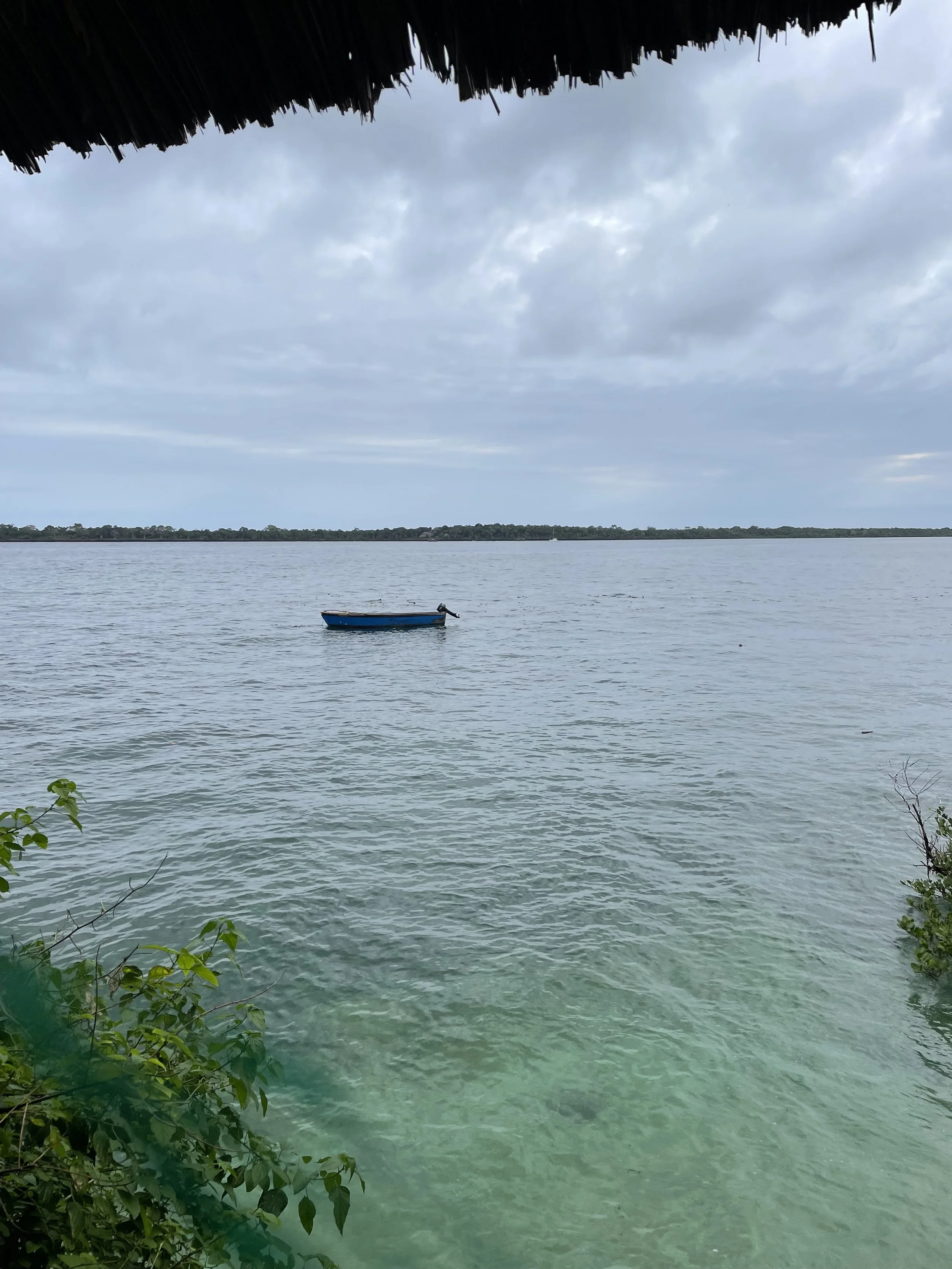 A small blue boat floating on calm water, viewed from under a thatched roof with some greenery on the bottom corners, overcast sky in the background.