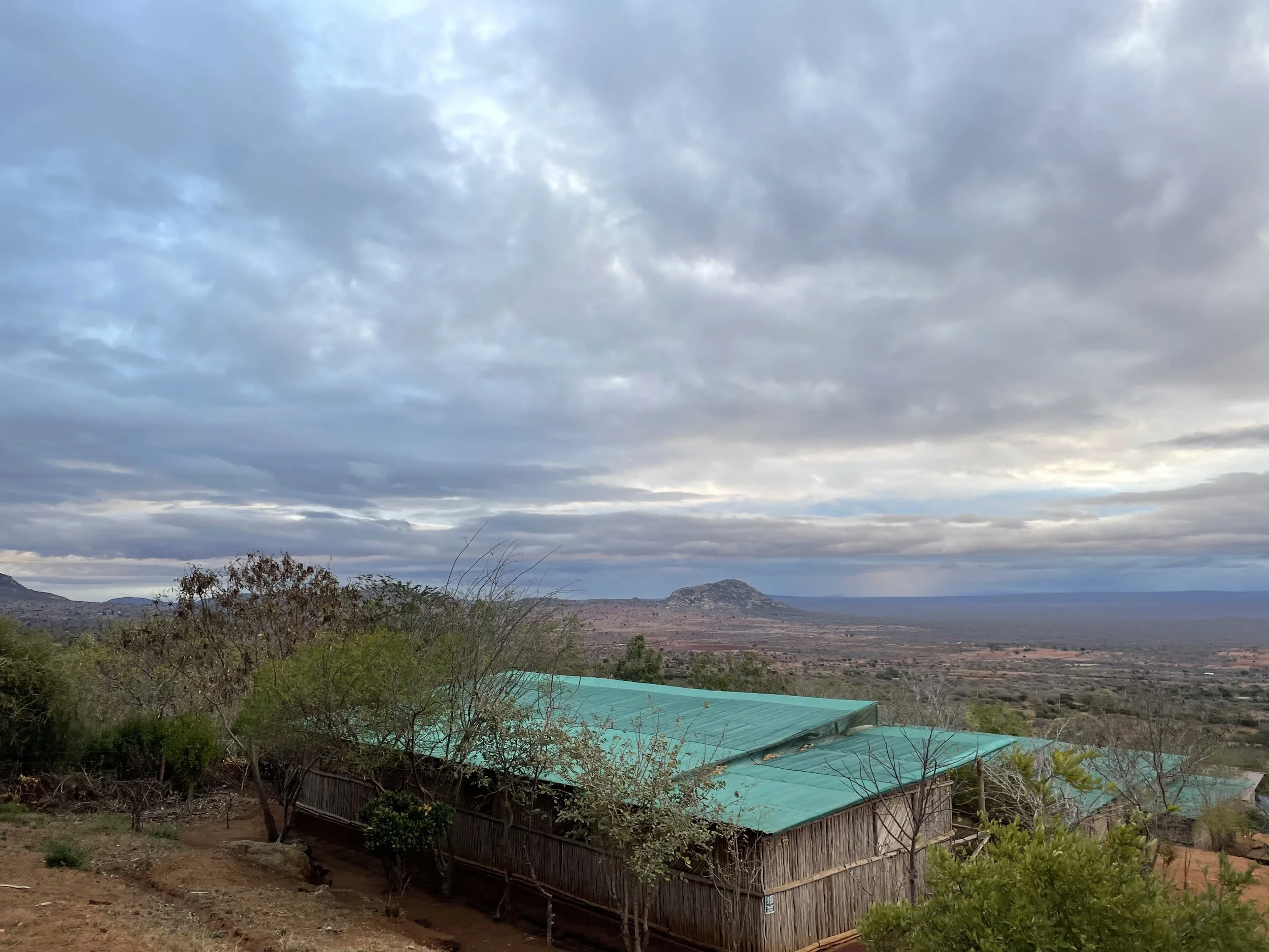 A landscape view of a rural area with a rustic hut with a green roof, trees, and distant mountains under a cloudy sky.
