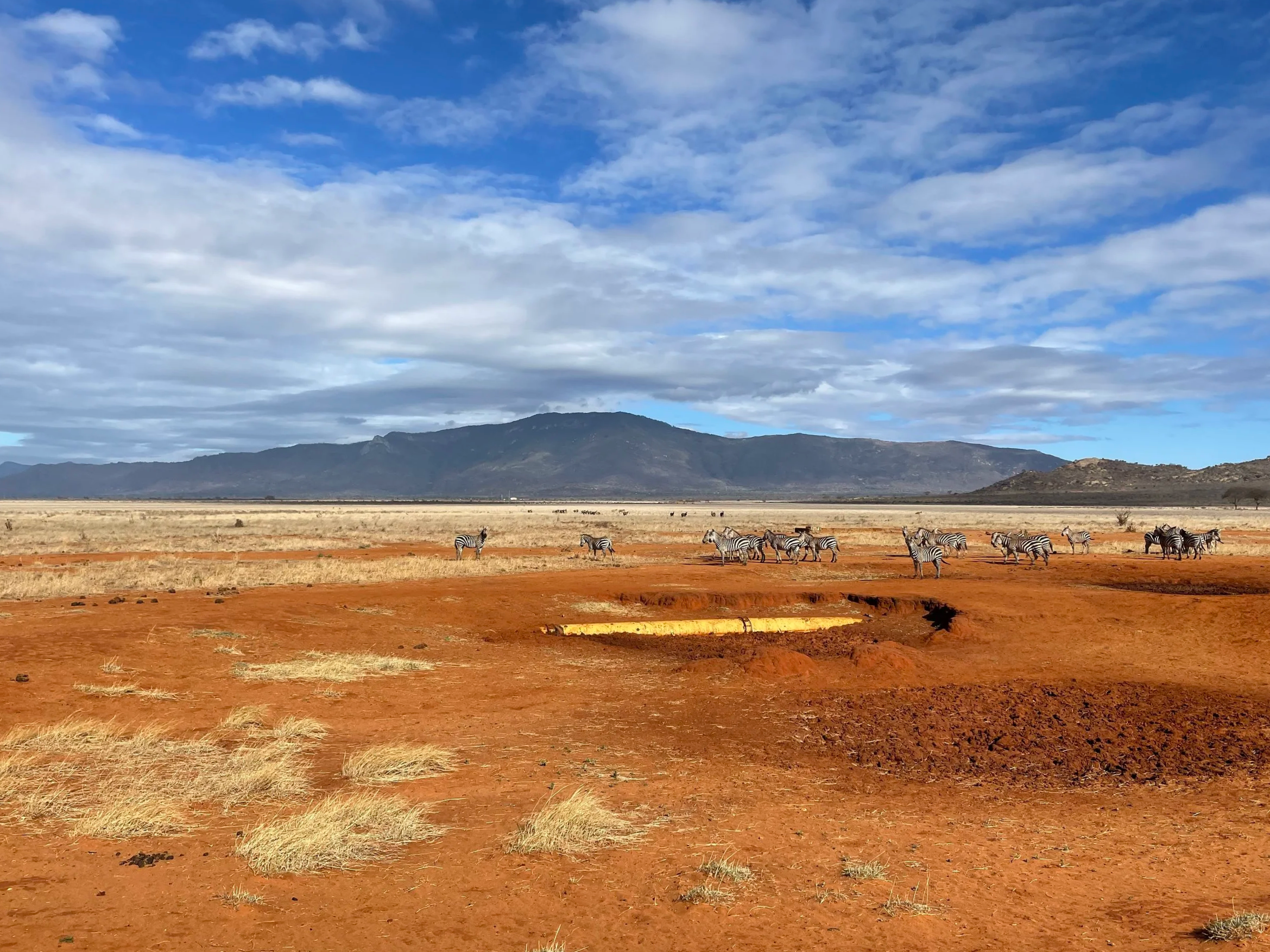 A landscape of a desert with red soil and sparse grass, with a group of zebras in the middle ground, and distant mountains under a partly cloudy sky.
